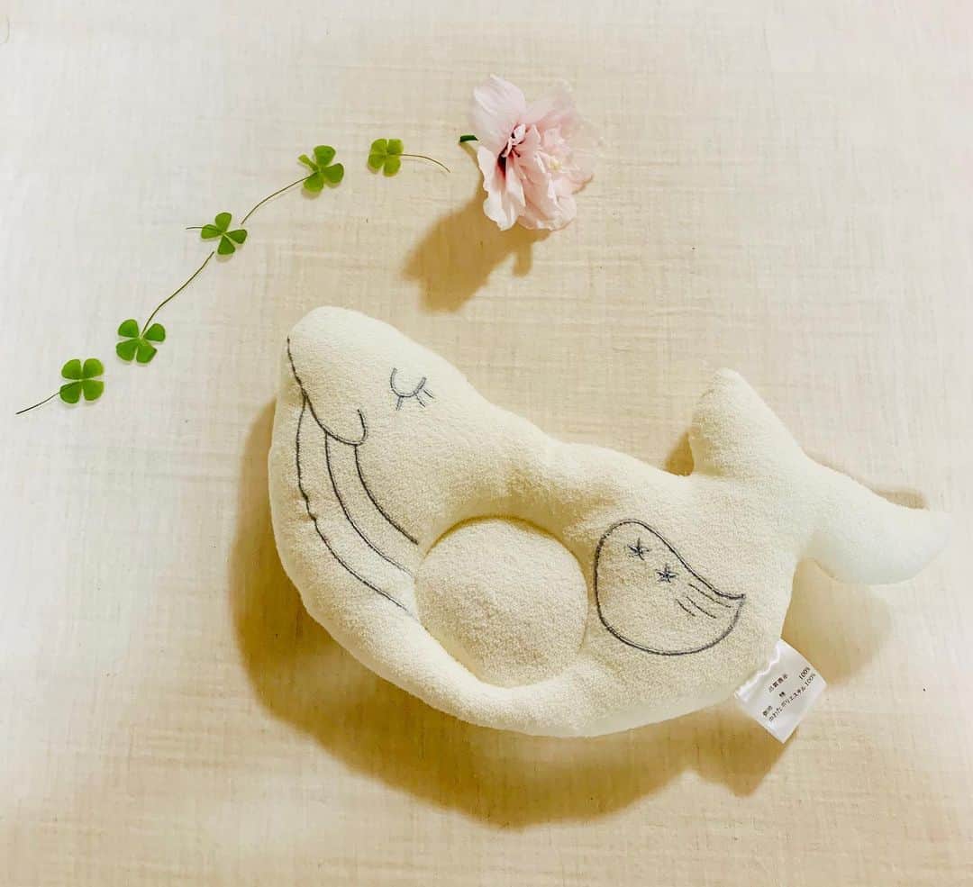 cozre（コズレ）マガジン公式のインスタグラム：「☆☆🌷 四葉のクローバー🍀 白いクジラ🐋 ☆ ☆ どちらも幸運の象徴といわれていますね！ ☆ ☆ みなさんのマタニティライフや子育てに 幸運が訪れますように✨✨ ☆ ☆ ☆ #コズレ#マタニティ#子育て#ベビー枕#ベビー布団#カトージ#オーガニックコットン#出産準備」