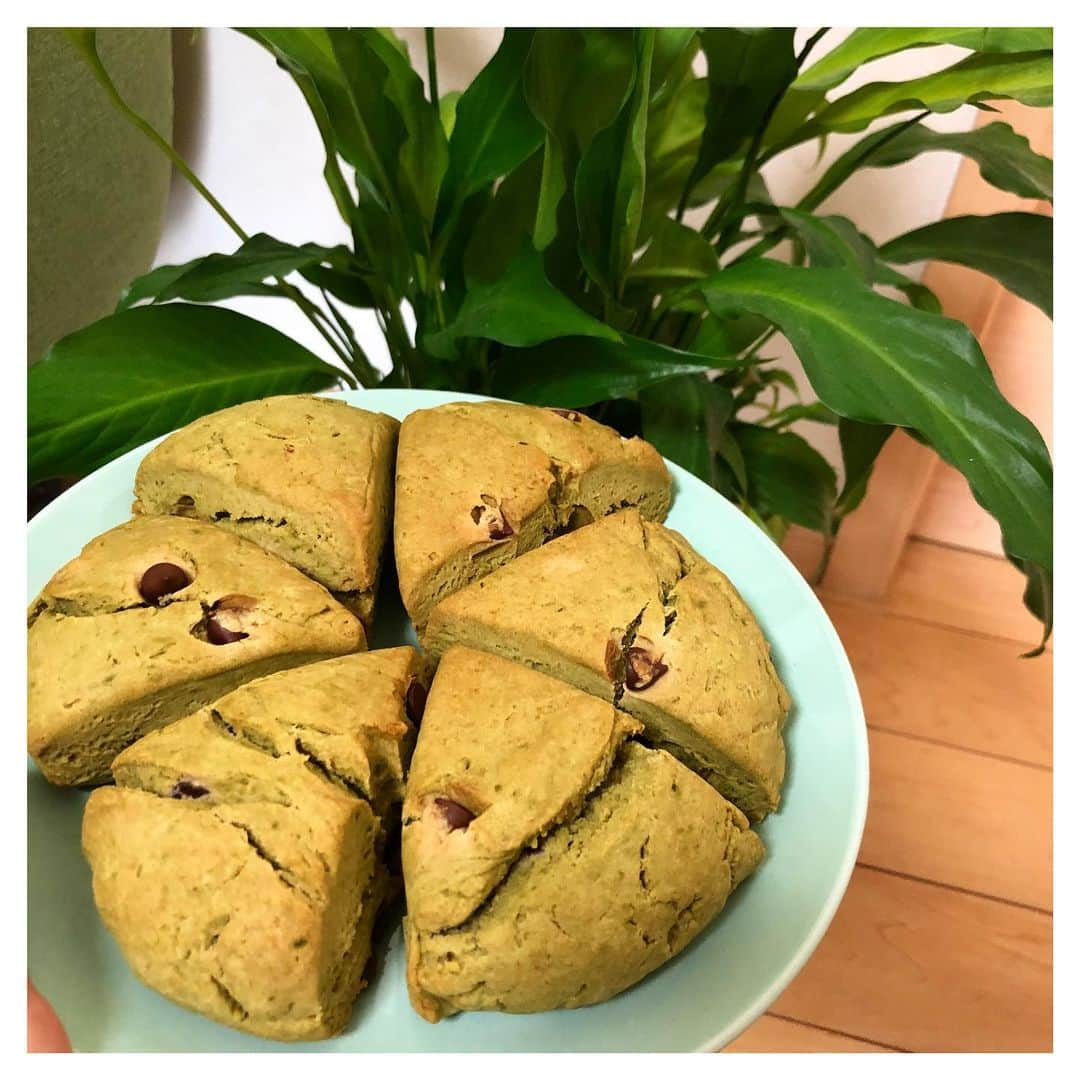 永井葉月さんのインスタグラム写真 - (永井葉月Instagram)「. . Hazu'kitchen👩‍🍳✨ 〜Matcha scones🍵〜 . . 今回は抹茶スコーン✨ もちろん卵も乳製品も使ってません🙅‍♀️ ビターなチョコチップがアクセントになって すごく美味しく出来ました😚 材料はオーガニック食品を使ってます✨ . . チョコチップ @alishanorganic  砂糖はココナッツシュガー @cocowell_jp 🥥 . . 今度はほうじ茶スコーン作ろうかな？ 最近は褒められることも多くなり すごく嬉しい笑。 喜んで食べてくれて作りがいがあります❣️ 料理も少しずつ成長中 もっと色々勉強したいな〜🤭✨ . . #抹茶スイーツ #抹茶スコーン  #vegan #vegansweets  #ヴィーガンレシピ  #手作りお菓子 #お菓子作り  #hazukitchen #はづきっちん」7月25日 19時26分 - hazuki815hazuki