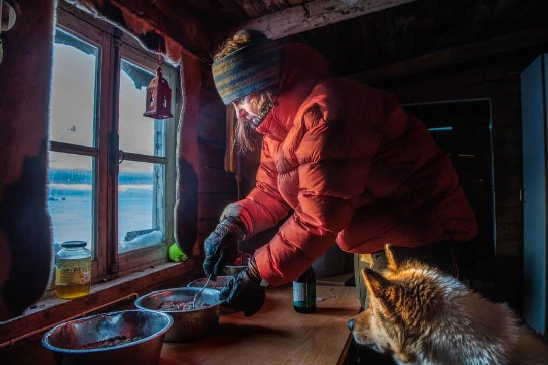 ナショナルジオグラフィックさんのインスタグラム写真 - (ナショナルジオグラフィックInstagram)「Photo by @estherhorvath  Sally Hovelsø prepares a meal for dogs in Ny-Alesund, Svalbard, in the Norwegian Arctic. Certain parts around Ny-Alesund, where scientific measurements are carried out, can be reached only on foot, skis, or dog sleds.  Besides dog sledding, having dogs as company is important, especially during the dark winter months and in a place where people are few. There are only about 35 inhabitants of Ny-Alesund along with a few visiting scientists and guests. Please follow @estherhorvath for more science stories.」7月25日 11時34分 - natgeo