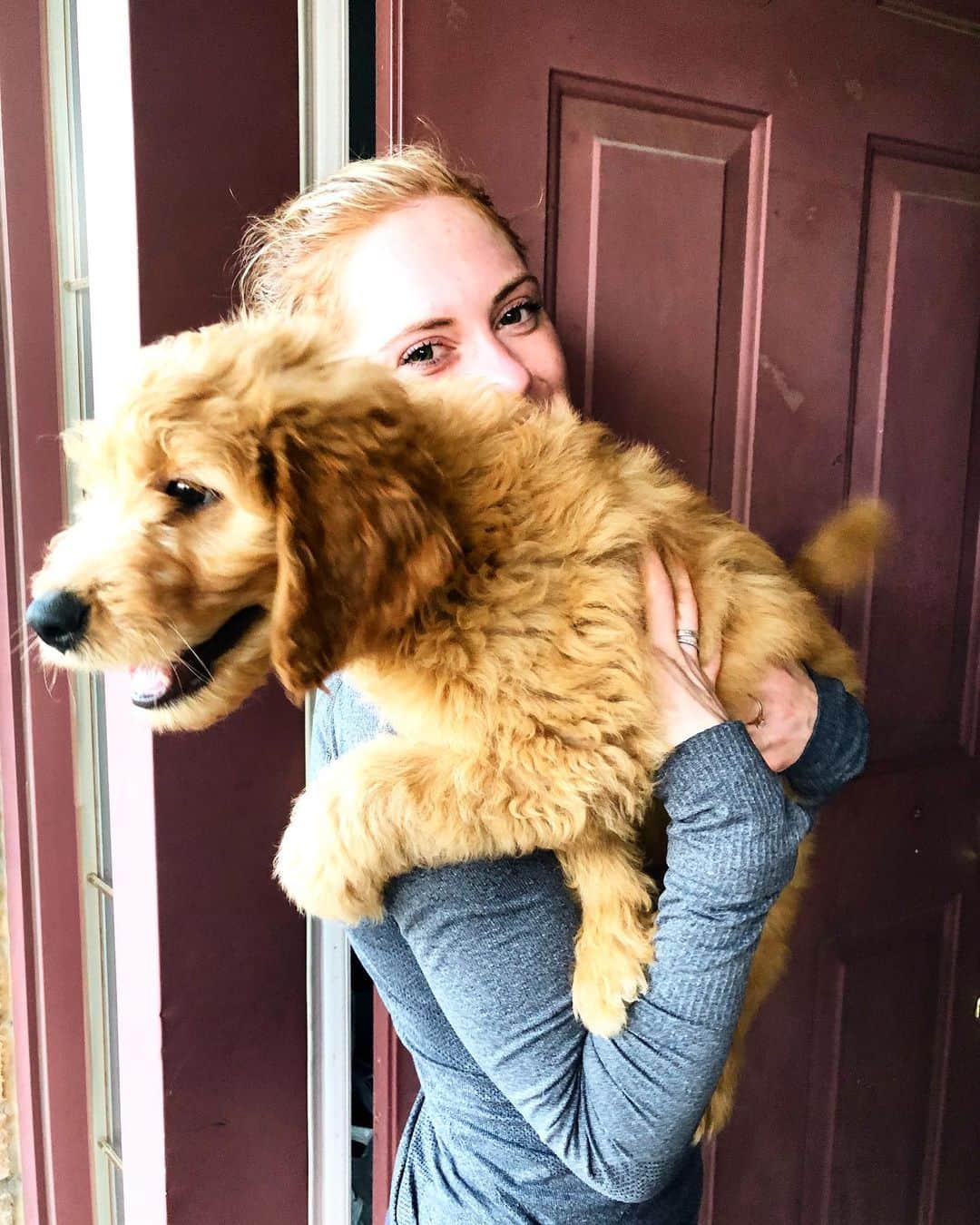ナターシャ・ピュリッチのインスタグラム：「I wanted a picture. He wanted to chase a squirrel. This was the result. #puppiesofinstagram #ijustwantcuddles」