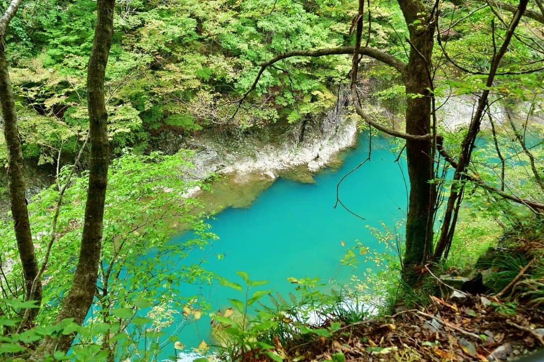 THE GATEのインスタグラム：「【 Dakigaeri Gorge// #Akita 】  Dakigaeri Gorge locates in the city of Semboku in Akita. At the gorge, there are a series of waterfalls and valleys. l One of the must-see waterfalls is Kairo Falls.  The falls measure 30 meters high and the waters crash vigorously.  l Another sight to see is the Kami-no-iwahashi Bridge, which was made in 1926, making it Akita’s oldest bridge.  You can also find Dakigaeri Shrine, which quietly sits in the gorge’s depths.   . ————————————————————————————— ◉Adress Sotsuda, Tazawa-ko, Semboku-shi, Akita ————————————————————————————— THE GATE is a website for all journeys in Japan.  Check more information about Japan. →@thegate.japan . #Japan #view #travel #exploring #visitjapan #sightseeing #ilovejapan #triptojapan #japan_of_insta #療癒 #instagood #粉我 #赞 #travelgram #instatravel #unknownjapan #instagramjapan #instaday #freshgreen #鲜绿色 #신록 #bundokph #kalilkasan #Hapon #alamsemulajadi #jepun #mendakigunung #mountaineering #dakigaerigorge」