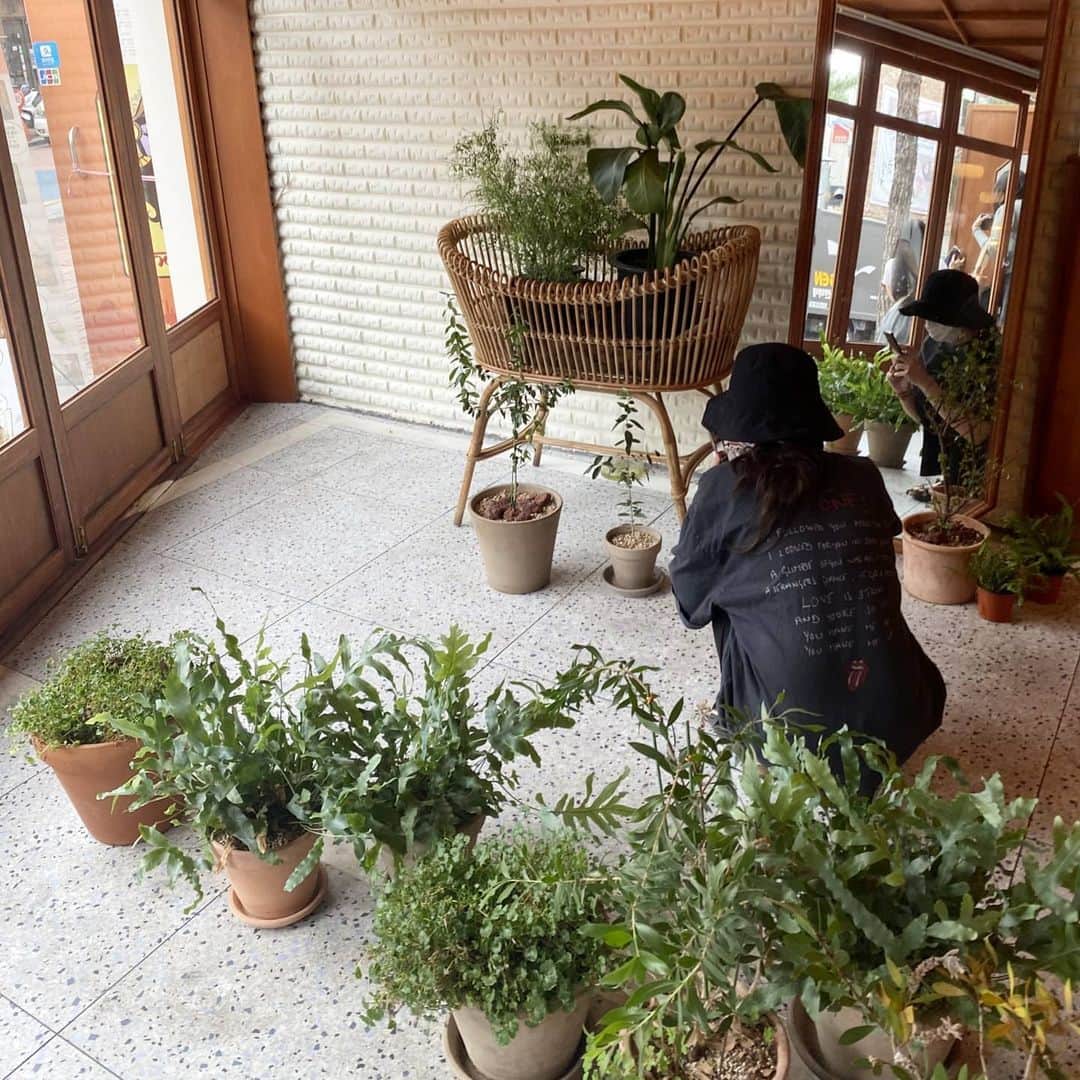 のインスタグラム：「💚」