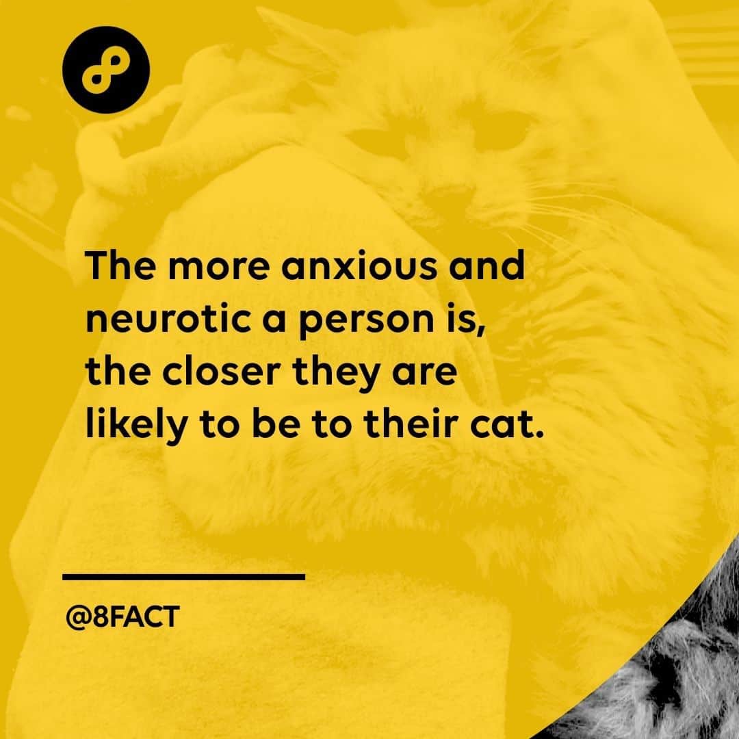 さんのインスタグラム写真 - (Instagram)「That’s why my cat and I are insepurrable.⠀ @meowed」7月25日 12時20分 - 8fact