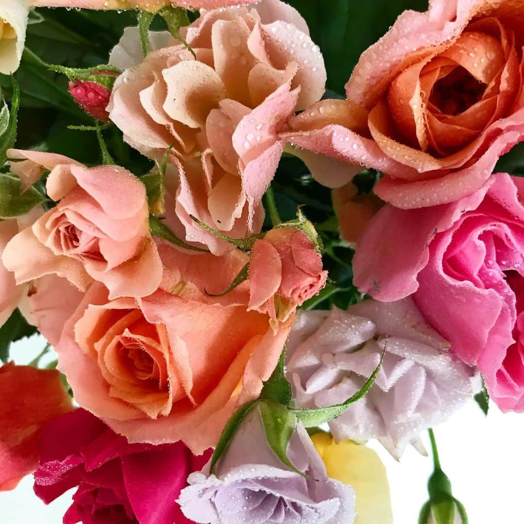 丸山敬太さんのインスタグラム写真 - (丸山敬太Instagram)「頼んでいた夏の薔薇が届いた。 箱を開けたとたんに  フレッシュな良い香り @rosefarmkeiji さんの薔薇は 本当に素敵。」7月25日 12時25分 - keitamaruyama