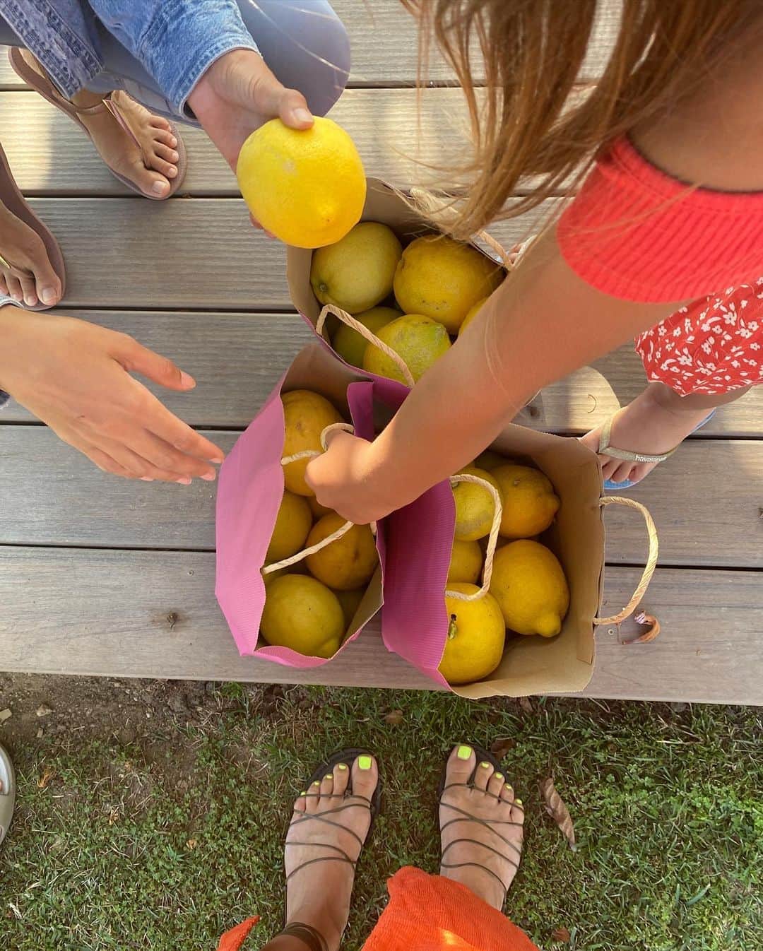 Livさんのインスタグラム写真 - (LivInstagram)「From farm to table. Thank you @deborahzseo for sharing your wonderful family orchard with us 🍋🌳✨ #farmtotable #lemontree #beyondorganic」7月25日 13時04分 - livlogolding