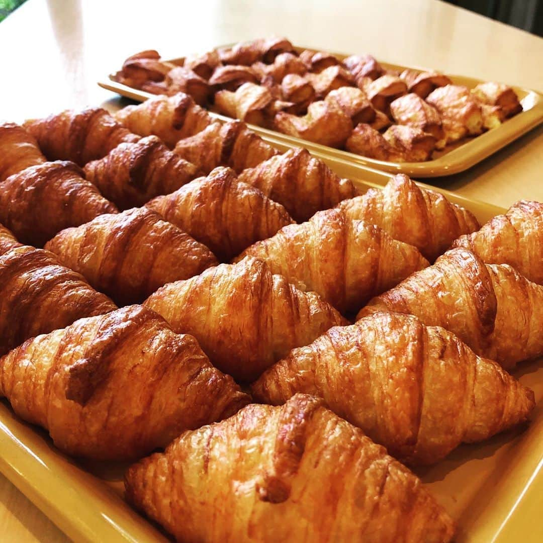 OMOCHA豊橋店さんのインスタグラム写真 - (OMOCHA豊橋店Instagram)「焼立てパン🥐いかがですか😋  聖一色店では、ランチタイム限定 焼立てパンをご提案させて頂いております🐼  本日より2品新メニューの登場です❗️  🥐クロワッサン バターをたっぷり使った風味豊かな ミニクロワッサンです  🌱カヤデニッシュ シンガポールなどでよく食されている カヤジャムを使ったデニッシュです  ミニサイズパンなのでソフトクリームに合わせてデザート感覚でもお楽しみ頂けます🍦  #omochashizuoka  #オモピザ #ランチ限定 #thanks  #親子カフェ」7月25日 13時48分 - omocha_shizuoka