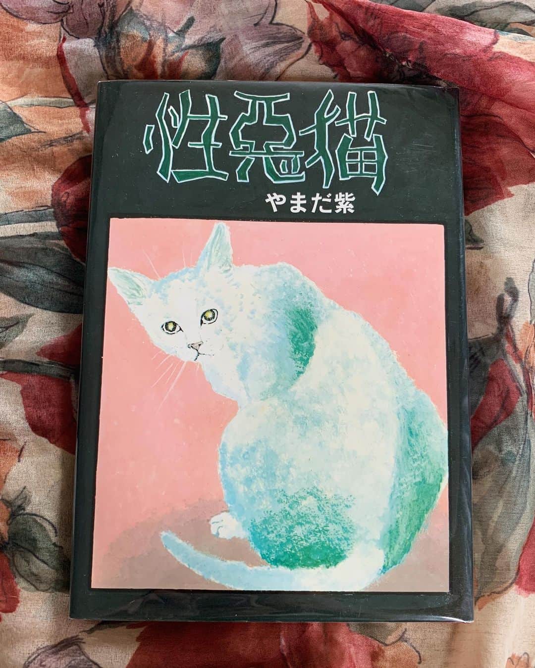 小谷実由さんのインスタグラム写真 - (小谷実由Instagram)「読み終わり。漫画です。 フルカラーじゃないのに、言葉と共に読み進めていくと、とても鮮やかな一冊でした。魅力的な思想の猫いっぱい 表紙に一目惚れして買ったのだけど、中の表紙や装丁もとても良かった #性悪猫 #やまだ紫 #おみゆ本棚」7月25日 14時46分 - omiyuno