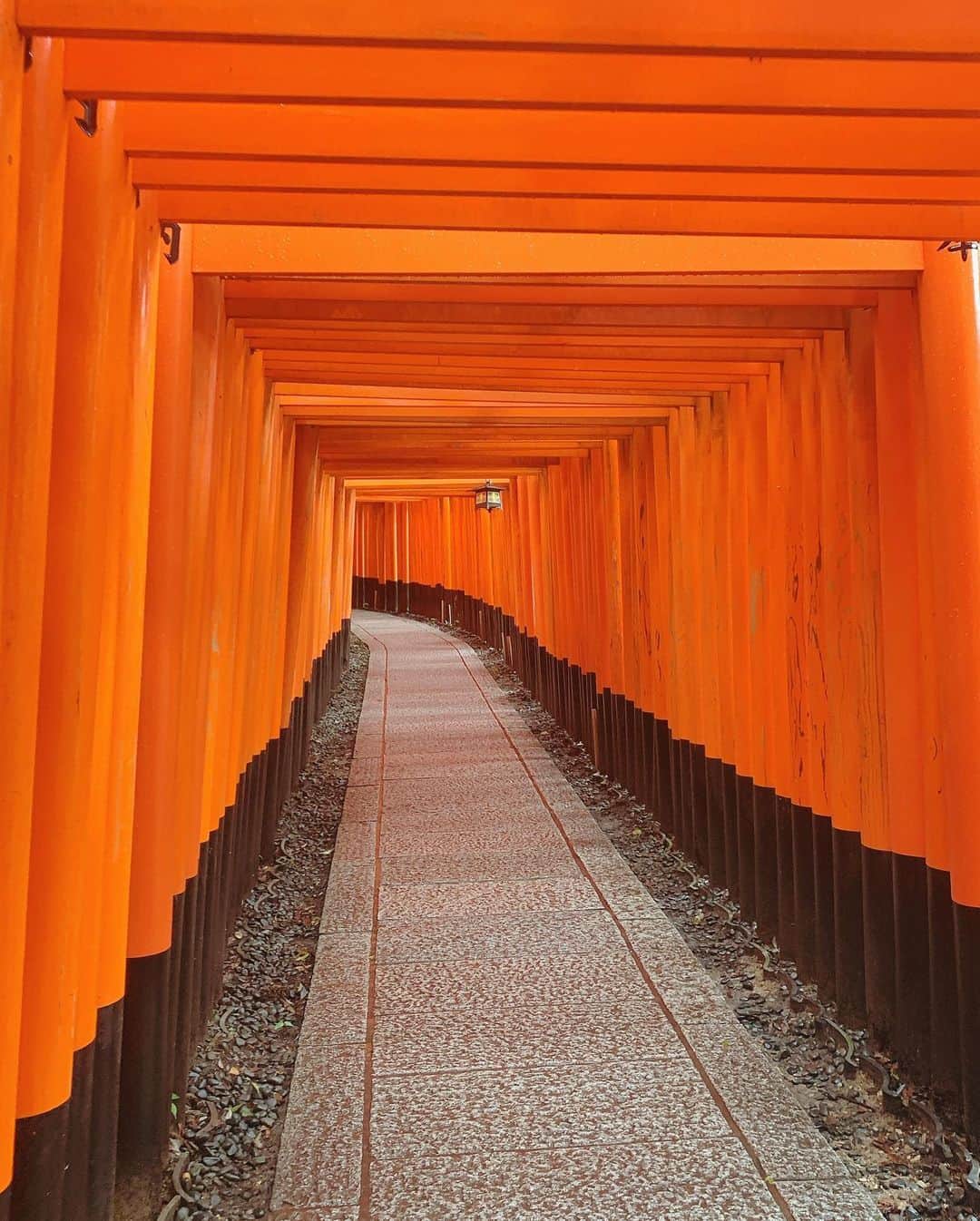 舞香さんのインスタグラム写真 - (舞香Instagram)「.﻿ .﻿ 週末は王子がいそがしそうだったから、ぶらり京都ひとり旅🍁﻿ ﻿ 神社巡りをしに来たよ⛩﻿ ﻿ ひとり旅は自分と対話する時間が増えて、自分がどんな人間なのかに気がつける良い機会✨﻿ ﻿ ﻿ 家で一人で過ごすよりも、一人で旅をした方が色んな気づきを得られるから好き☺️﻿ ﻿ ﻿ #京都﻿ #ひとり旅  #一人旅女子  #神社巡り  #伏見稲荷大社  #そうだ京都行こう  #kyoto  #タビジョ  #旅行好き女子」7月25日 15時20分 - maika.mahou