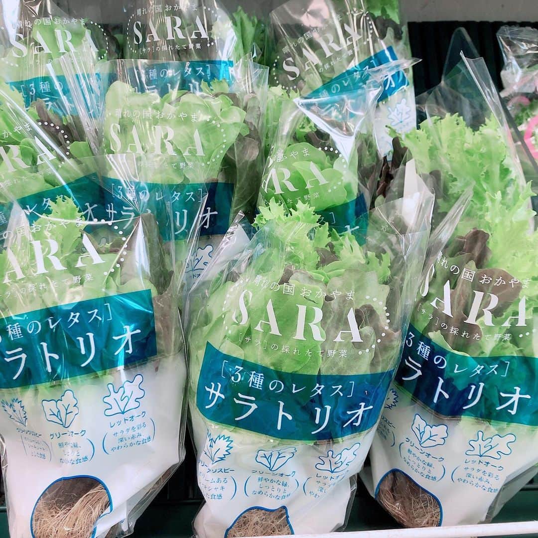 山内智恵のインスタグラム