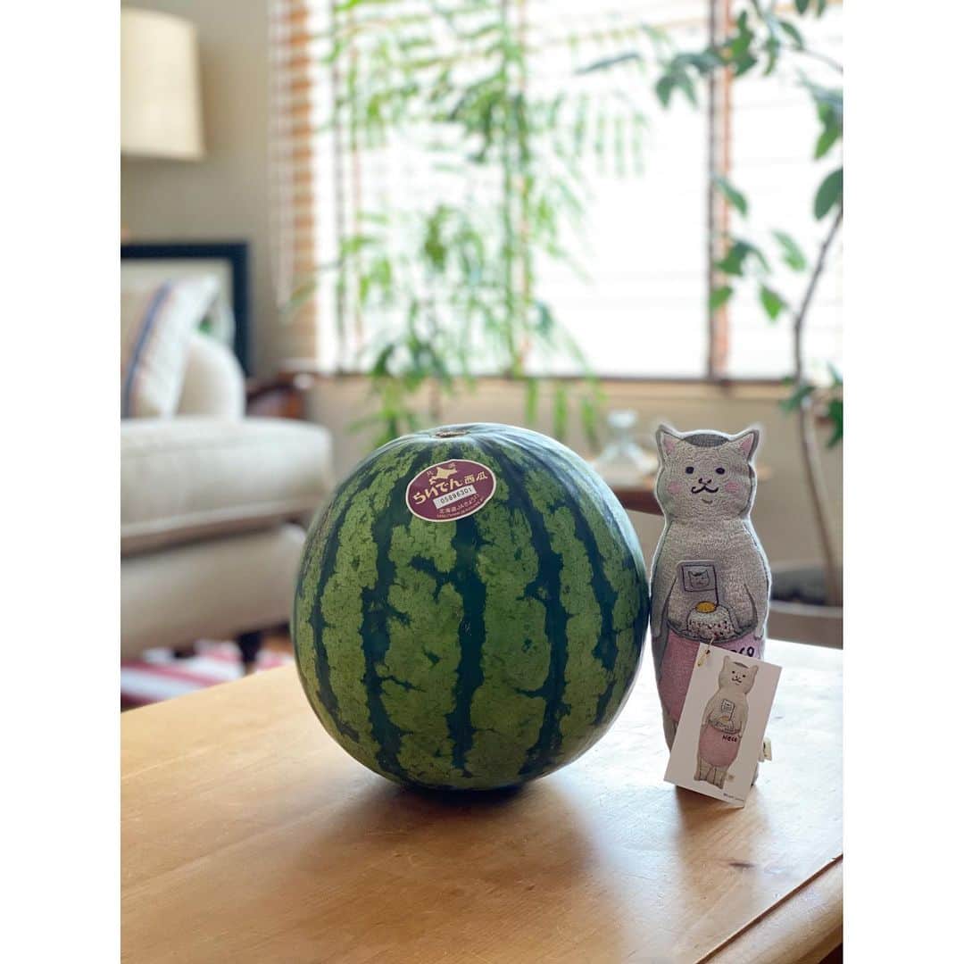 のインスタグラム：「* おっきなおっきな大大大大大大好きな西瓜をもらって、その大きさを表現するために顔芸をする際に皮を食べるカブトムシを意識してみた🍉🍉🍉 * #スイカは不動の1位🍉 #桃も1位🍑 #梨も1位🍐 #アメチェも1位🍒 #ブルーベリーは1.5位」