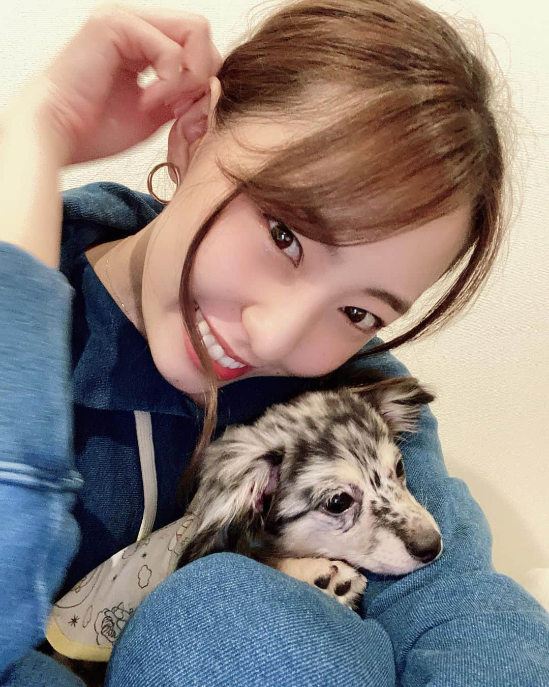 藤江れいなさんのインスタグラム写真 - (藤江れいなInstagram)「♡🐶 ( @ane.love0328 ) ・ ・ #チワックス　#シルバーダップル #いぬのいる暮らし」7月25日 16時36分 - 01nyan0201