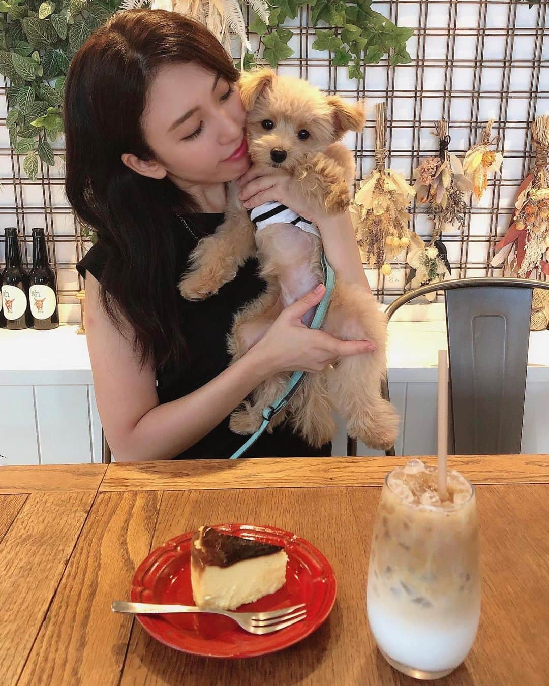 mimiさんのインスタグラム写真 - (mimiInstagram)「念願のベルたんとのカフェデート❤️ 行きたかった CAFE SANS NOM AKASAKA @cafesansnom_akasaka へ☕️ お目当ては バスクチーズケーキとカフェラテ🤤❤️ コンビニのバスクチーズケーキしか食べたことなかった私は本当に感動しました😆💕 溶けるのでお早めにお召し上がりください🙋‍♂️ と言われたので大急ぎで写真撮ったよ🤣 濃厚でなめらかでたまらない美味しさ🤤 もっと早くくればよかった😫❤️ 最初はそのままそのあとはこちらのオリーブオイルをお好みでどうぞと渡されたお洒落なオリーブオイル✨ このオリーブオイルとの相性が最高すぎて ぺろりと完食しちゃいました☺️✨ カフェラテも◎な美味しさ☺️🙌 （私カフェラテにはだいぶうるさい） 外観、店内もおしゃれで ケーキ、コーヒー共に感動的な美味しさ…❣️ そして店内もわんちゃんok🐶💕 カフェマニアな私としては 最高のお店でした☺️💕 ドリンク、ケーキ共にテイクアウトもOKだから 手土産にも良き🙌❤️ ・ #バスクチーズケーキ #六本木カフェ #六本木ケーキ #六本木スイーツ #CAFESANSNOM #六本木バー #六本木コーヒー #pr #コラボベース #赤坂カフェ #赤坂カフェ部 #カフェ巡り #東京カフェ #東京カフェ部  #インスタ探検隊 #だいたいカフェにいる #わんちゃんと一緒 #わんことカフェ #わんちゃんok #わんことお出掛け #おしゃれカフェ #手土産にオススメ #ベルたんとの生活 #ポメプー #ポメプー部 #いぬすたぐらむ #犬好きな人と繋がりたい #うちの子一番 #ポメプー会 #ベルたんの成長記録」7月25日 17時57分 - chan.mi3