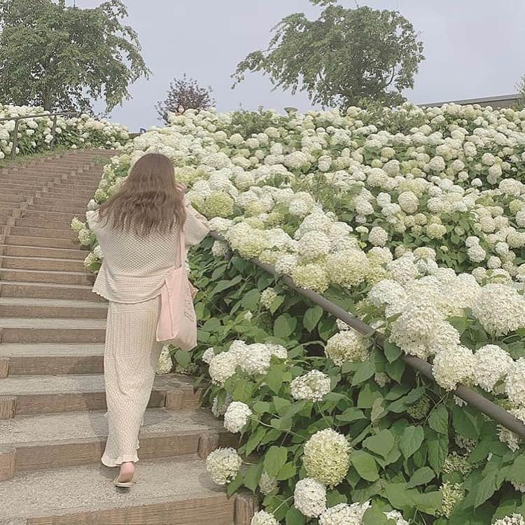 bis_web bis [ビス] さんのインスタグラム写真 - (bis_web bis [ビス] Instagram)「﻿ 💐 𝑭𝒍𝒐𝒘𝒆𝒓 𝒈𝒂𝒓𝒅𝒆𝒏 💐﻿ ﻿ インスタ映えするお花畑をご紹介します❣️カラフルで可愛いお花に囲まれて気分もリフレッシュ🌼﻿ ﻿ ☑︎三室戸寺【京都】﻿ 大庭園に咲き誇る紫陽花が圧巻。現在は本堂前にて250鉢の色とりどりの蓮が楽しめます。﻿ ﻿ ☑︎シンボルプロムナード公園【東京】﻿ 季節によってさまざまなお花のイベントを実施しているそう。台場へ遊びに行った時に立ちってみて。﻿ ﻿ ☑︎横浜イングリッシュガーデン【神奈川】﻿ 1,800品種を超えるバラをはじめとした、季節によってさまざまなお花が咲き誇ります♡﻿ ﻿ ☑︎京都府立植物園【京都】﻿ 1日では回りきれないほどの種類豊富な花々が揃っていることがポイント。﻿ ﻿ ☑︎のこのしまアイランドパーク【福岡】﻿ 見渡す限り色とりどりのお花で埋め尽くされた景色は圧巻！﻿ ﻿ ﻿ 𝑻𝒉𝒂𝒏𝒌 𝒚𝒐𝒖!﻿ @mteg_tjw  @____teddybear.____  @merry___02  @y_u_r_a_jj  @____p26983  ﻿ ﻿ ﻿ #淡色女子 #淡色コーデ #淡色女子と繋がりたい #三室戸寺 #あじさい寺 #あじさい #宇治カフェ #紫陽花 #紫陽花寺  #シンボルプロムナード公園 #横浜イングリッシュガーデン #京都府立植物園  #のこのしまアイランドパーク #マリーゴールド #bis_web」7月25日 18時00分 - bis_web