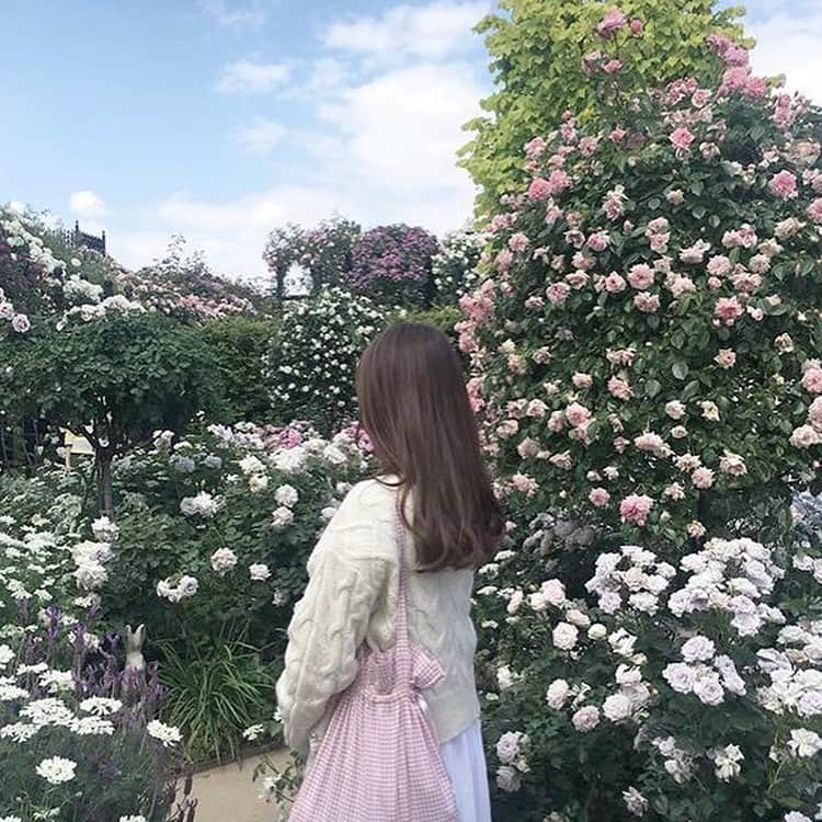 bis_web bis [ビス] さんのインスタグラム写真 - (bis_web bis [ビス] Instagram)「﻿ 💐 𝑭𝒍𝒐𝒘𝒆𝒓 𝒈𝒂𝒓𝒅𝒆𝒏 💐﻿ ﻿ インスタ映えするお花畑をご紹介します❣️カラフルで可愛いお花に囲まれて気分もリフレッシュ🌼﻿ ﻿ ☑︎三室戸寺【京都】﻿ 大庭園に咲き誇る紫陽花が圧巻。現在は本堂前にて250鉢の色とりどりの蓮が楽しめます。﻿ ﻿ ☑︎シンボルプロムナード公園【東京】﻿ 季節によってさまざまなお花のイベントを実施しているそう。台場へ遊びに行った時に立ちってみて。﻿ ﻿ ☑︎横浜イングリッシュガーデン【神奈川】﻿ 1,800品種を超えるバラをはじめとした、季節によってさまざまなお花が咲き誇ります♡﻿ ﻿ ☑︎京都府立植物園【京都】﻿ 1日では回りきれないほどの種類豊富な花々が揃っていることがポイント。﻿ ﻿ ☑︎のこのしまアイランドパーク【福岡】﻿ 見渡す限り色とりどりのお花で埋め尽くされた景色は圧巻！﻿ ﻿ ﻿ 𝑻𝒉𝒂𝒏𝒌 𝒚𝒐𝒖!﻿ @mteg_tjw  @____teddybear.____  @merry___02  @y_u_r_a_jj  @____p26983  ﻿ ﻿ ﻿ #淡色女子 #淡色コーデ #淡色女子と繋がりたい #三室戸寺 #あじさい寺 #あじさい #宇治カフェ #紫陽花 #紫陽花寺  #シンボルプロムナード公園 #横浜イングリッシュガーデン #京都府立植物園  #のこのしまアイランドパーク #マリーゴールド #bis_web」7月25日 18時00分 - bis_web