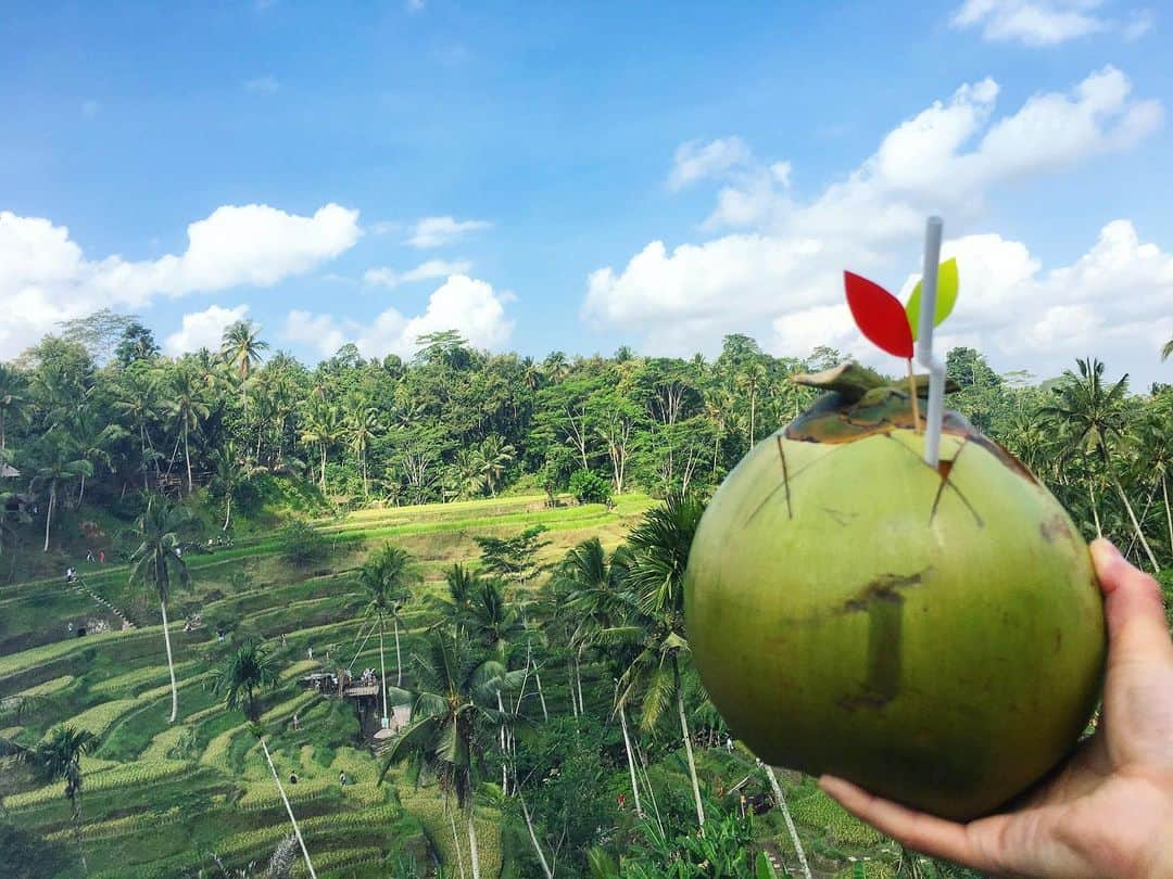 Yuya Oishiのインスタグラム：「😋🥥🌴﻿ ﻿ ﻿ 人の可能性を消すようなことをしていると、自分の可能性もどんどんなくなっていく。﻿ ﻿ 逆に、人の可能性を広げるようなことをしていると、自分の可能性もどんどん広がっていく。﻿ ﻿ 周りの欠点や短所ばかり見て、否定的、批判的になっていても、何ひとついいことはないよね。﻿ ﻿ ﻿ ﻿ ﻿ #indonesia #bali  #travelling #beautiful #travel #trip #journey #travelgram #love #happy #coconutwater #island #nature  #instagood #travelphoto #ubud #traveler #lifestyle #worldheritage #instatravel #riceterraces  #インドネシア #バリ島 #海外 #海外旅行 #旅  #旅行  #ウブド #棚田 #世界遺産」