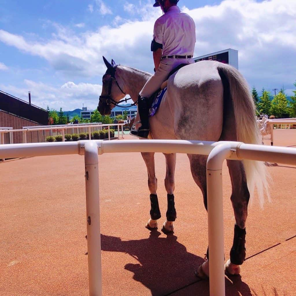 八木隆太郎さんのインスタグラム写真 - (八木隆太郎Instagram)「誘導馬🐎  競走馬として活躍した 馬の第二の人生。  でもみんながみんな 引退後に素敵な仕事を もらえるわけではない のがサラブレッドの運命。  種牡馬なんてほんの ひとにぎり✊  このゲームフェイスという馬は お父さんがネオユニヴァース というダービー馬でありながら 競走馬としてはオープン入りもできなかったのですが札幌競馬場で2016年から誘導馬をしています。   きっと賢くていい子だから選ばれたんでしょうね♩ 本馬場入場する際に芦毛の 大きな子に注目してみてください。  久しぶりに馬を見られたので 色々考えてしまった。  実は乗馬資格もってるから いつか乗ってみたい🤗  #札幌競馬場 #誘導馬 #サラブレッド」7月25日 20時18分 - ryutaroyagi0414