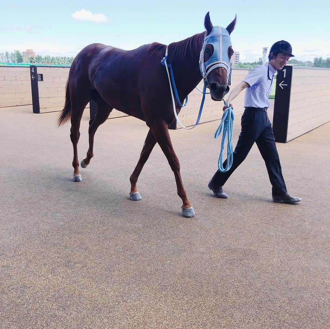 八木隆太郎さんのインスタグラム写真 - (八木隆太郎Instagram)「誘導馬🐎  競走馬として活躍した 馬の第二の人生。  でもみんながみんな 引退後に素敵な仕事を もらえるわけではない のがサラブレッドの運命。  種牡馬なんてほんの ひとにぎり✊  このゲームフェイスという馬は お父さんがネオユニヴァース というダービー馬でありながら 競走馬としてはオープン入りもできなかったのですが札幌競馬場で2016年から誘導馬をしています。   きっと賢くていい子だから選ばれたんでしょうね♩ 本馬場入場する際に芦毛の 大きな子に注目してみてください。  久しぶりに馬を見られたので 色々考えてしまった。  実は乗馬資格もってるから いつか乗ってみたい🤗  #札幌競馬場 #誘導馬 #サラブレッド」7月25日 20時18分 - ryutaroyagi0414