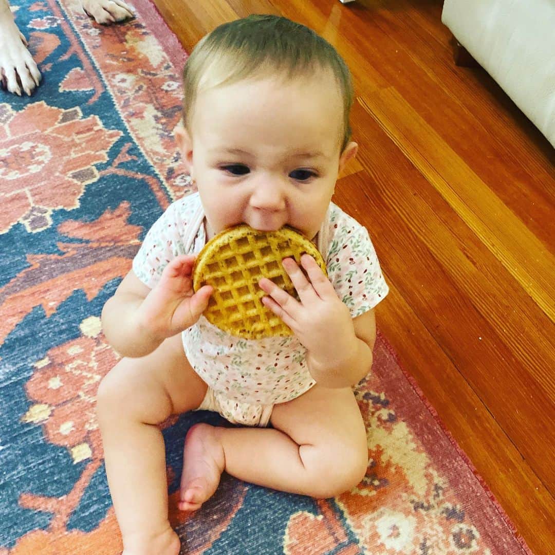 ニック・カーターさんのインスタグラム写真 - (ニック・カーターInstagram)「It’s breakfast time 😂. #morning #goodmorning #morningperson #waffles #breakfast  #haveahappyday」7月25日 20時25分 - nickcarter