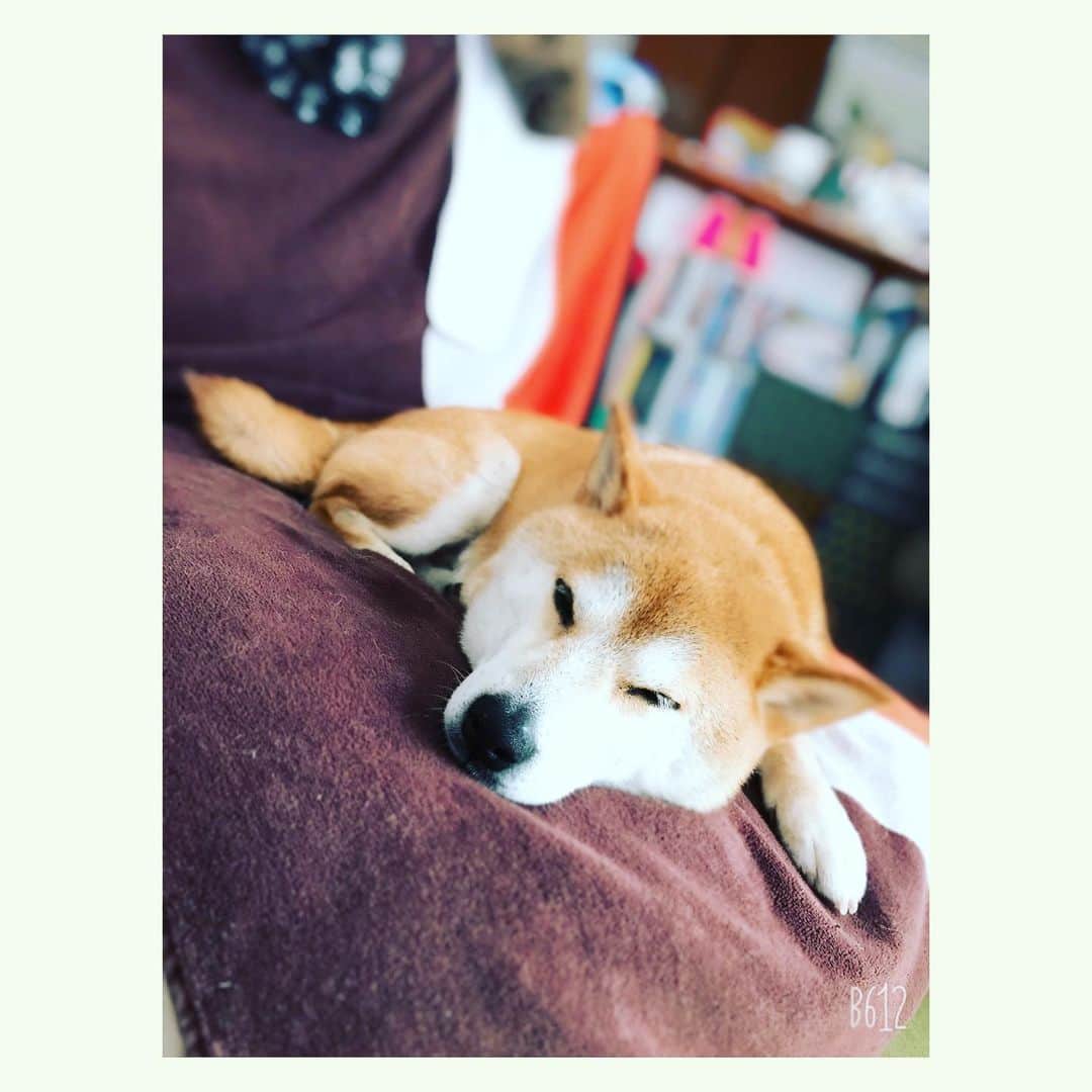 Hanamichi ＆ ℕㆁℜ〡ｋㆁ♡のインスタグラム：「My holiday is great just by being next to you✨✨」