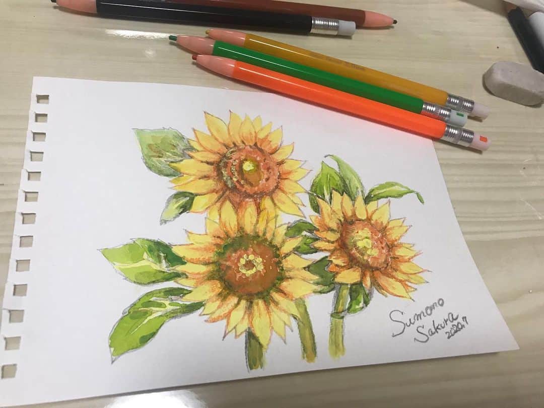 富岡美羽のインスタグラム：「向日葵🌻描いてみました✨🌈      ＃桜すもも」