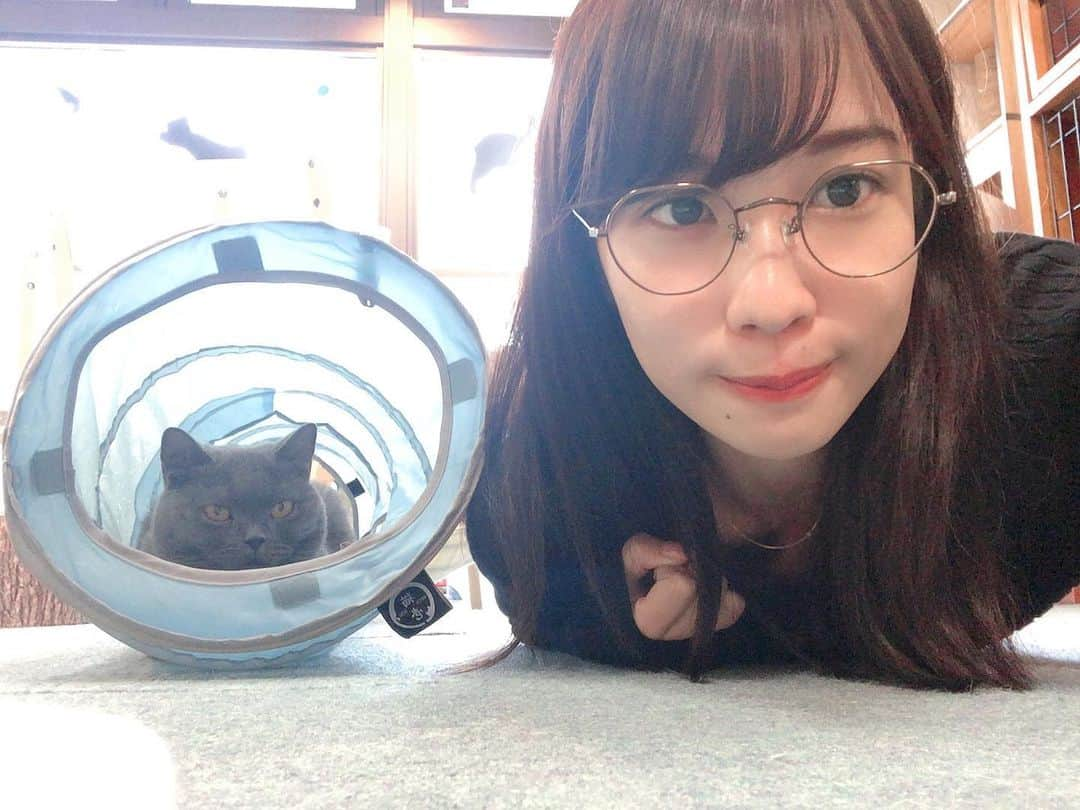 木寺莉菜のインスタグラム：「🐱🐱🐱﻿💕 ﻿ ﻿」