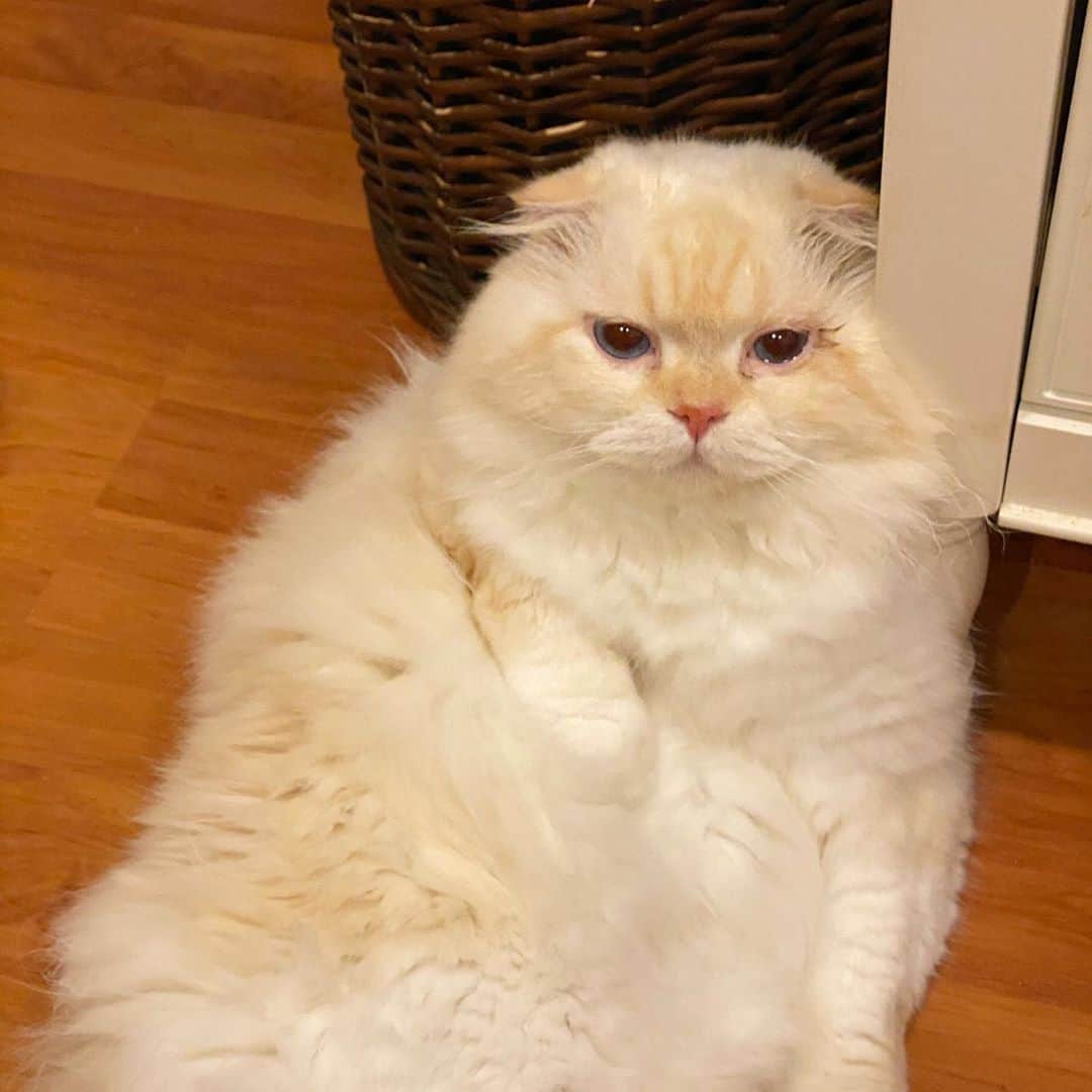 Haruのインスタグラム