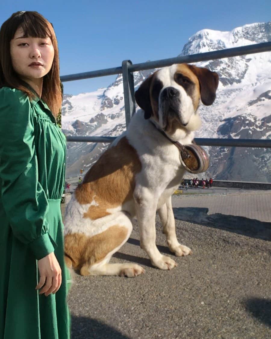 吉住のインスタグラム：「in スイス  ハイジみたいな世界観にしたかったのに…  #吉住の世界一周 #海外旅行 #険しい顔の人間ときもち細い犬」