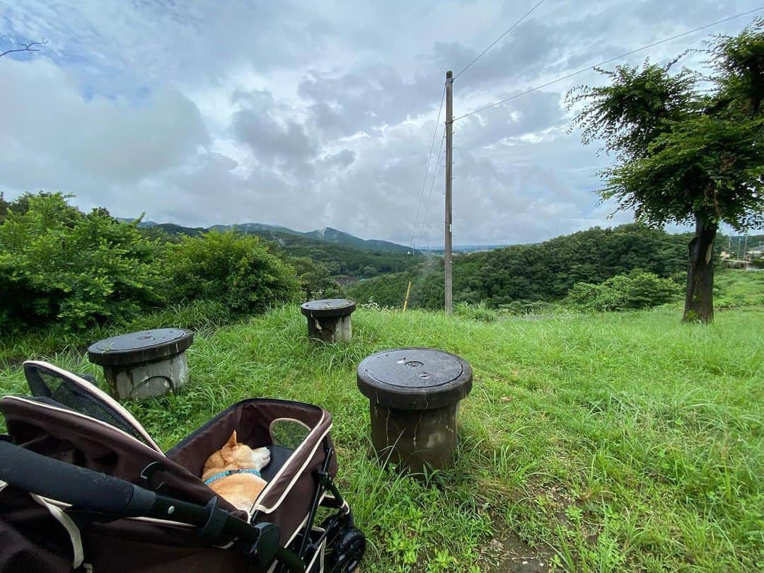 平山ユージさんのインスタグラム写真 - (平山ユージInstagram)「自宅でお仕事をし、息抜きに野菜🥒🍅🍆を収穫、そして犬達と散歩。自然の恵みに感謝し、自然に囲まれ遠くを眺めリラックス、良い貴重な時間だ〜✨🌲🍀 Working at home. Take a break and harvest vegetables and walk around with my dogs. Thank you for the blessings of nature and relax surrounded by nature. It’s so precious 🌲🍀🌈🌤 #workingathome #takeabreak #blessingofnature #chocolateandhiniki #田舎暮らし」7月25日 22時00分 - yuji_hirayama_stonerider