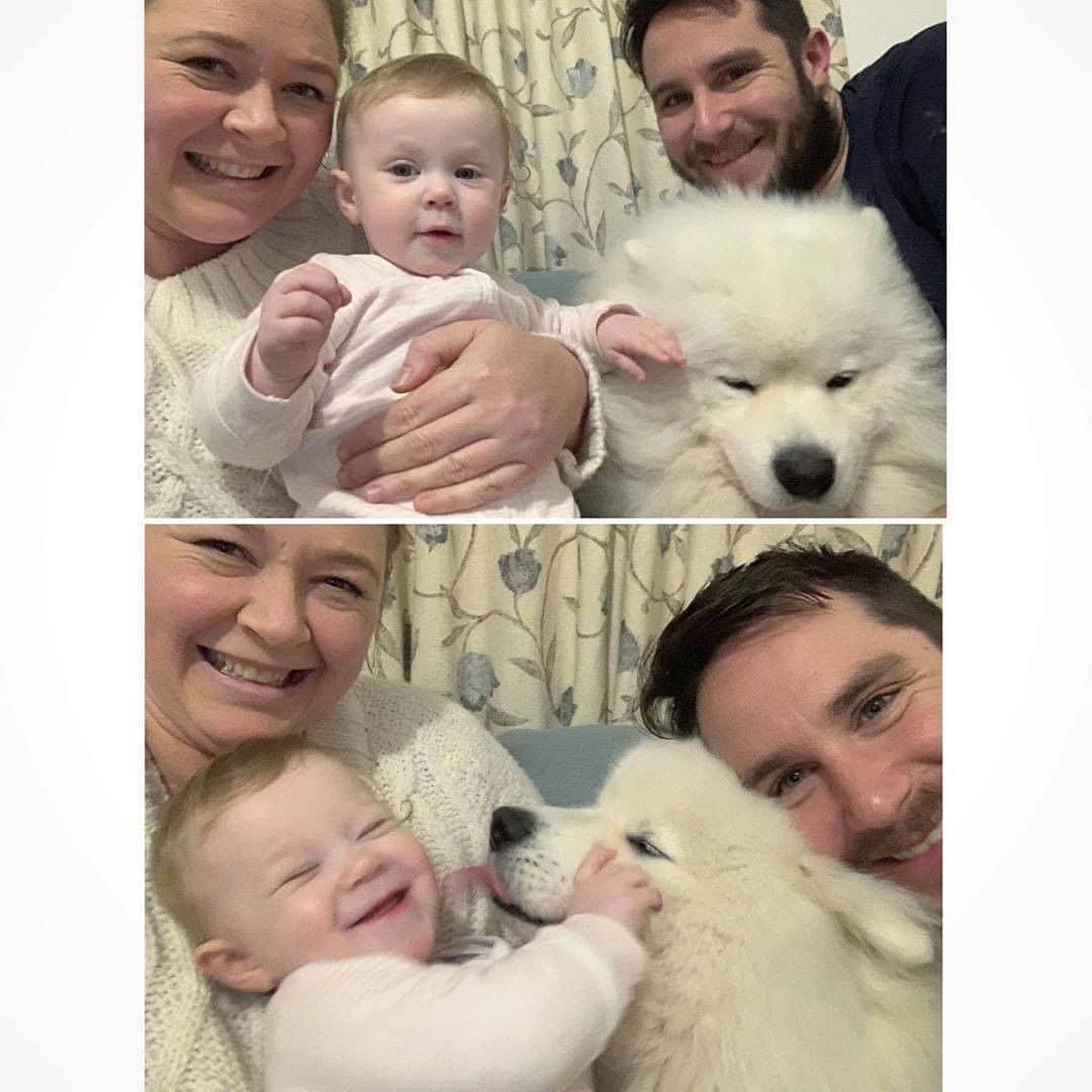 8crapさんのインスタグラム写真 - (8crapInstagram)「“Instagram VS Reality - ‘Family Photo’ 👶🏼🐶🤦🏼‍♀️🧔🏻” - Want to get featured like them? Join “The Barked Club” on FACEBOOK and post something now! 👉 barked.com - 📷 @fun_with_franklin - #TheBarkedClub #barked #dog #doggo #Samoyed」7月25日 22時02分 - barked