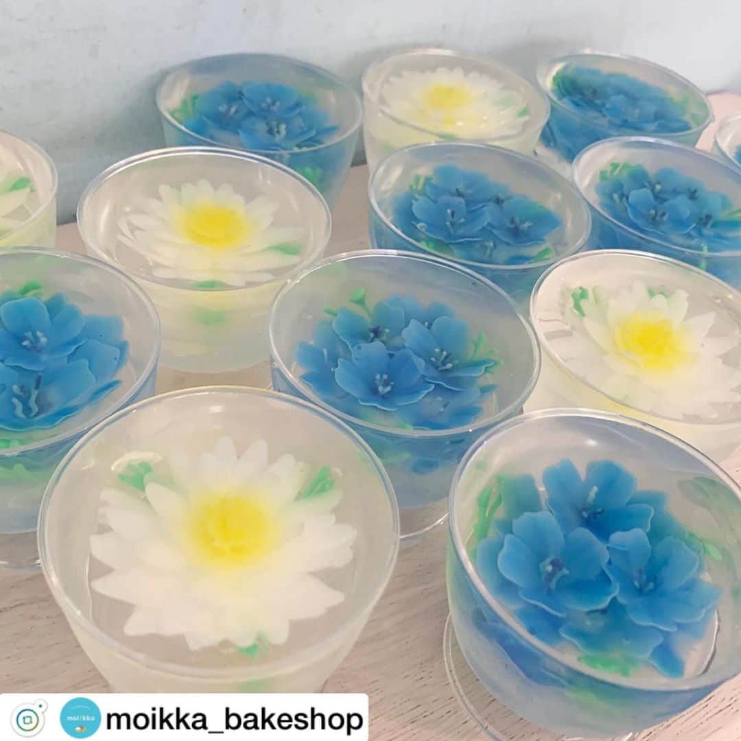 のインスタグラム：「@moikka_bakeshop さま、リポストです😊 . . 植物スピルリナ由来の青色素 リナブルーご活用のネモフィラゼリー、本物かそれ以上に美しくてうっとりです🥺✨💙💠 . . #ネモフィラ #ネモフィラゼリー#手作りゼリー #フードアート #dicスピルリナ #スピルリナ青 #植物由来 #フィコシアニン #spirulina #linablue  . ↓ . .  今日のフラワーゼリーは、ネモフィラとマーガレットです。 写真にはありませんが、ピンクのお花も少量ご用意しています。 . フラワーゼリーは不定期での登場ですので、見かけましたらぜひお試しくださいませ。 1グループ様2つまでご購入頂けます。 . 他に、 ひまわりカップケーキ マンゴーラッシーカップケーキ チョコレートロックスコーン エスプレッソチーズケーキ オレンジバターケーキ などなど . 本日も10時より営業致します。 ご来店お待ちしております。 . . #モイッカ #フラワーゼリー #moikka #ベイクショップ #つく映えテイクアウト #スピルリナ #リナブルー」