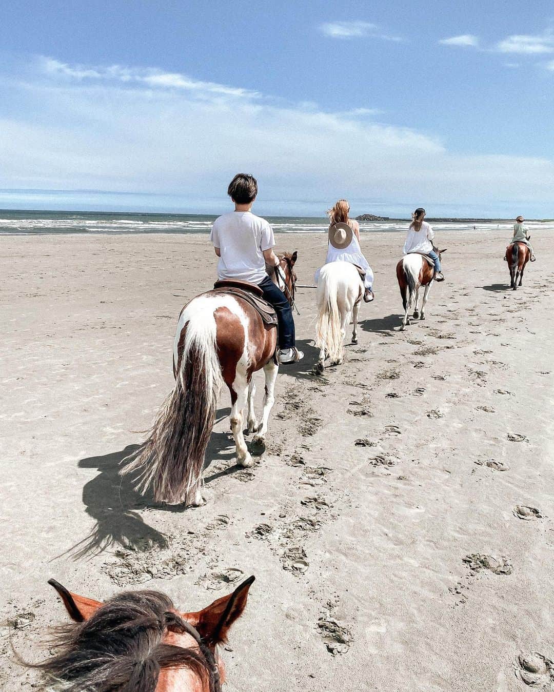 Manamiのインスタグラム：「🐴🤍🤍🤍 楽しみにしていたぱかりんの日🐎 みーんなお利口なお馬っちたちで のーんびり気持ちよくお散歩できた🥰 今回私が乗せてもらった子は"Aquaちゃん"🐴💕 アクアって名前なのに水が嫌いなの💙 水溜りよけて歩いてた🥰 ㅤ 来週はこのメンバーでRoad trip🚐 楽しみだ〜🥳 ㅤ @babykiy きーちゃん次は一緒にぱかりんしよーねー🥳 #しばらくは日本を楽しむぞ🦌」