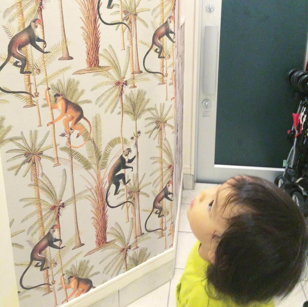いなざうるす屋さんのインスタグラム写真 - (いなざうるす屋Instagram)「少しずつイメチェンしていった過程こそが楽しい思い出。 その楽しい思い出があるからこそ愛着が湧く。  ずっといらないって思ってた壁の凹み。 まさか塞いでもらえるなんて思ってなかった！  ベニヤで塞いで ↓ パテして ↓ 乾かして ↓ やすって ↓ パテして  これを3回繰り返して綺麗に平らになってた！ まさに職人技！ 感動したなぁ😭  廊下の壁紙貼りは途中でこの日はタイムアップ。  世界が一変した日！ 大嫌いだった家が好きに変わった日！  保育園から帰ってきためいの反応も嬉しかったなぁ😭  #建売 #壁紙オタク #輸入壁紙オタク #壁オタ会 #walpa #輸入壁紙 #壁紙 #wallpaper」7月25日 23時41分 - inazaurusu_ya