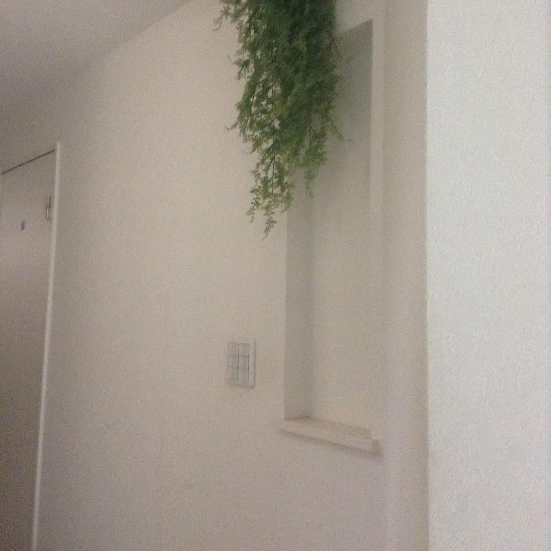 いなざうるす屋さんのインスタグラム写真 - (いなざうるす屋Instagram)「少しずつイメチェンしていった過程こそが楽しい思い出。 その楽しい思い出があるからこそ愛着が湧く。  ずっといらないって思ってた壁の凹み。 まさか塞いでもらえるなんて思ってなかった！  ベニヤで塞いで ↓ パテして ↓ 乾かして ↓ やすって ↓ パテして  これを3回繰り返して綺麗に平らになってた！ まさに職人技！ 感動したなぁ😭  廊下の壁紙貼りは途中でこの日はタイムアップ。  世界が一変した日！ 大嫌いだった家が好きに変わった日！  保育園から帰ってきためいの反応も嬉しかったなぁ😭  #建売 #壁紙オタク #輸入壁紙オタク #壁オタ会 #walpa #輸入壁紙 #壁紙 #wallpaper」7月25日 23時41分 - inazaurusu_ya