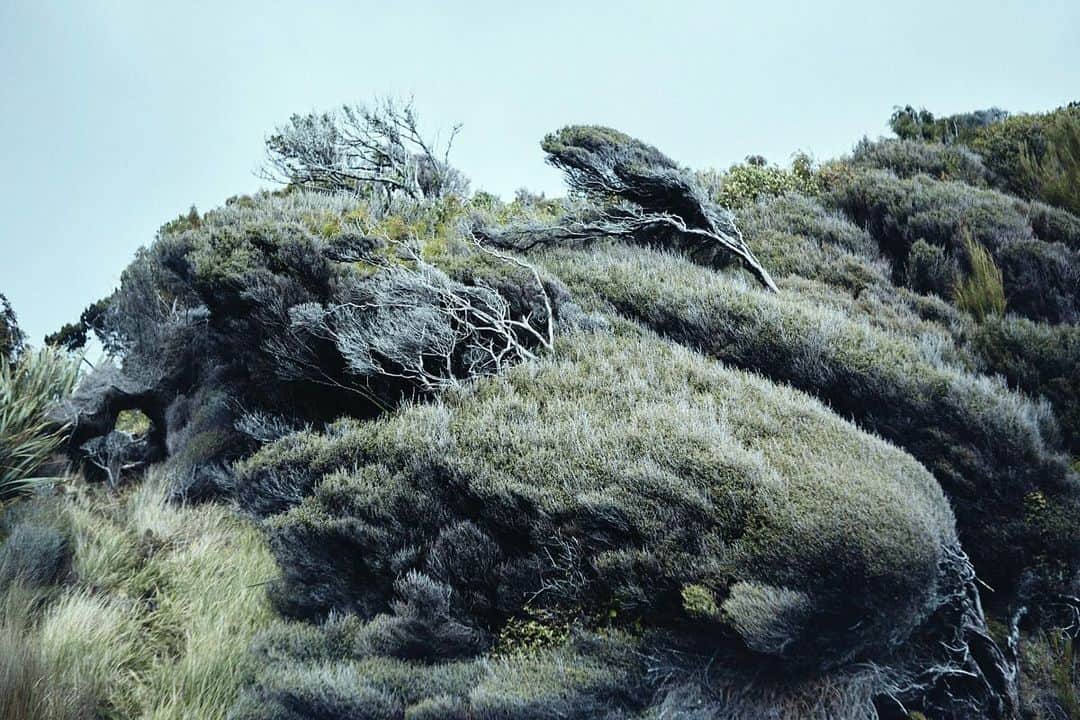 柏倉陽介さんのインスタグラム写真 - (柏倉陽介Instagram)「Stewart Island 📷 #newzealand #nz #mountains #landscape #purenewzealand #explore #hiking #newzealandguide」7月26日 0時39分 - yosuke_kashiwakura
