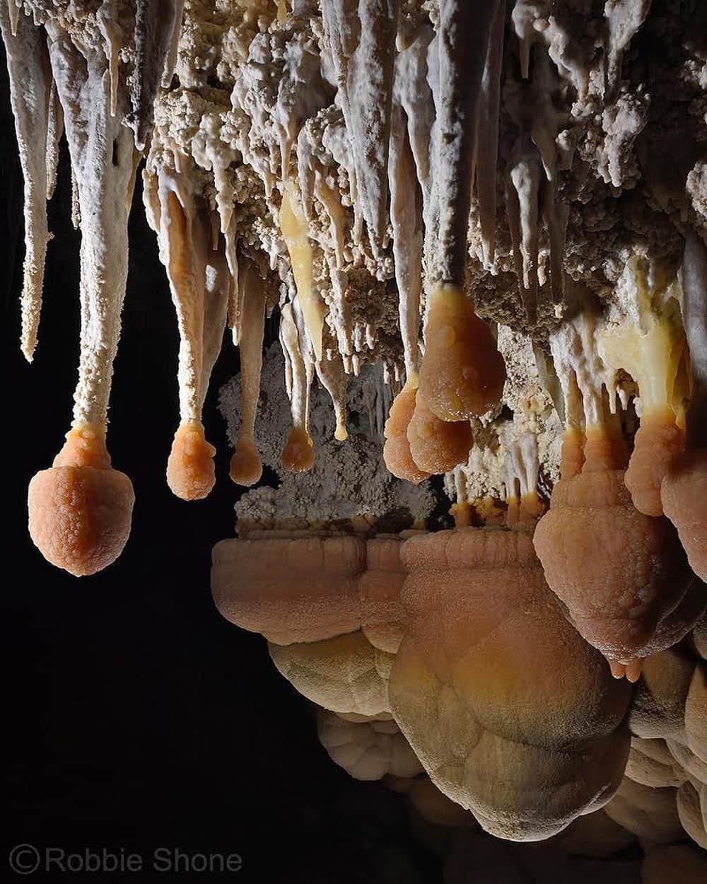 thephotosocietyさんのインスタグラム写真 - (thephotosocietyInstagram)「Photo by Robbie Shone @shonephoto  Deep inside Lechuguilla, in Carlsbad  Caverns National Park, there are many wondrous sights. These rare cave formations, known as mammillaries, were created underwater, at a time when the lake was much higher than it is today. The formations that look like lion tails (the white stalactites with orange bulbs) formed close to the water surface, with the white part above the water and the orange part just below the surface. This contrast between them can give you an idea of the level of the lake in the past.」7月26日 0時48分 - thephotosociety