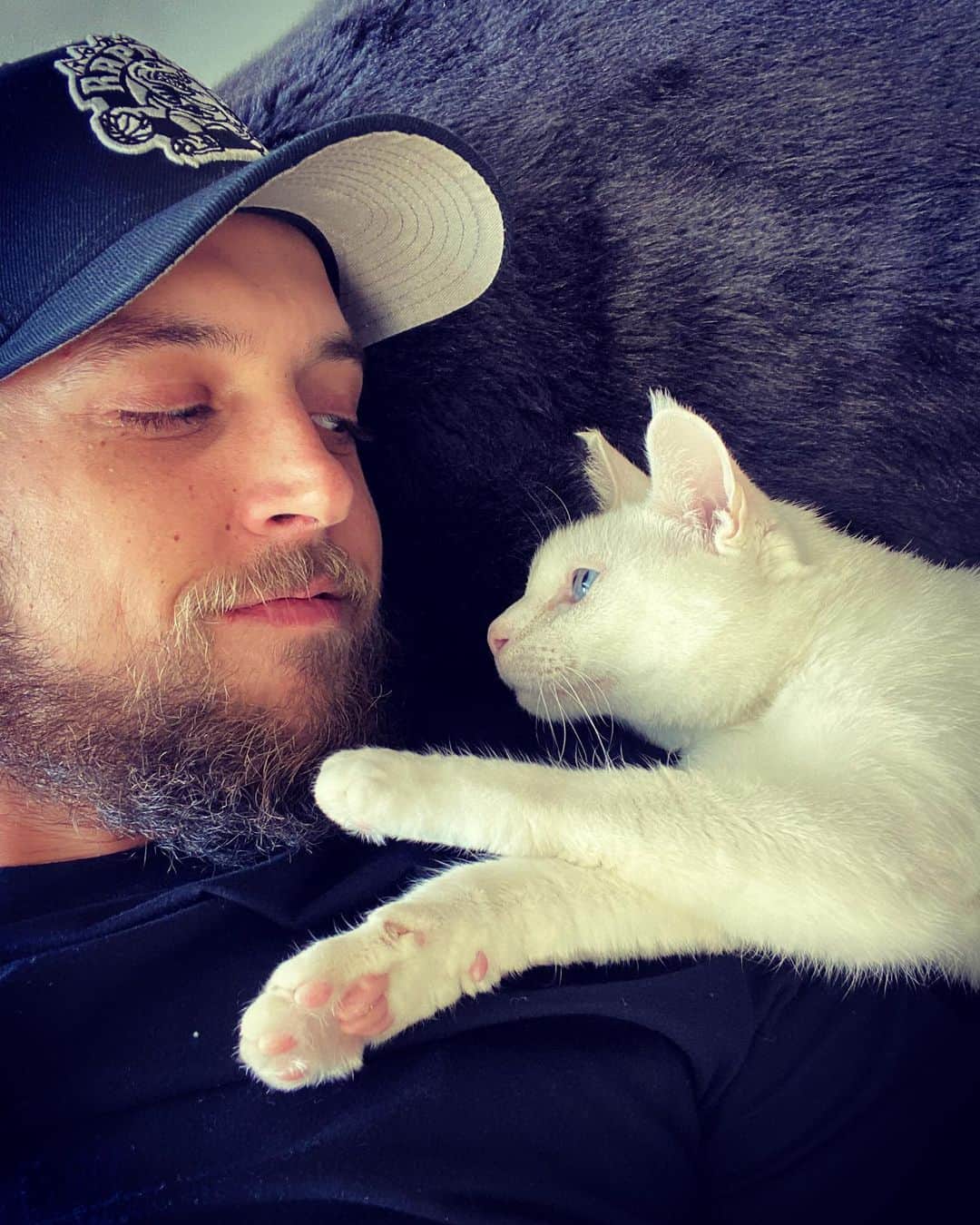 ミーナ・スヴァーリのインスタグラム：「There is no divide between the light; we are one in the same, as consciousness experiencing itself. ✨ #EndSpeciesism #WeAreLight #WeAreLove」