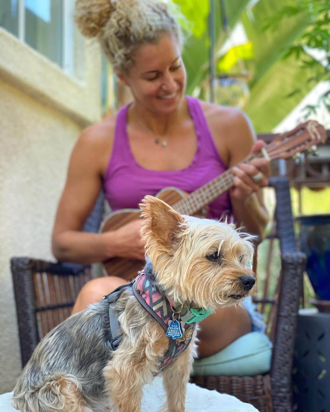 リンゼイ・ジャコベリスのインスタグラム：「#Saturday serenade sesh with #Gidget #puppylove #foreverpuppy」