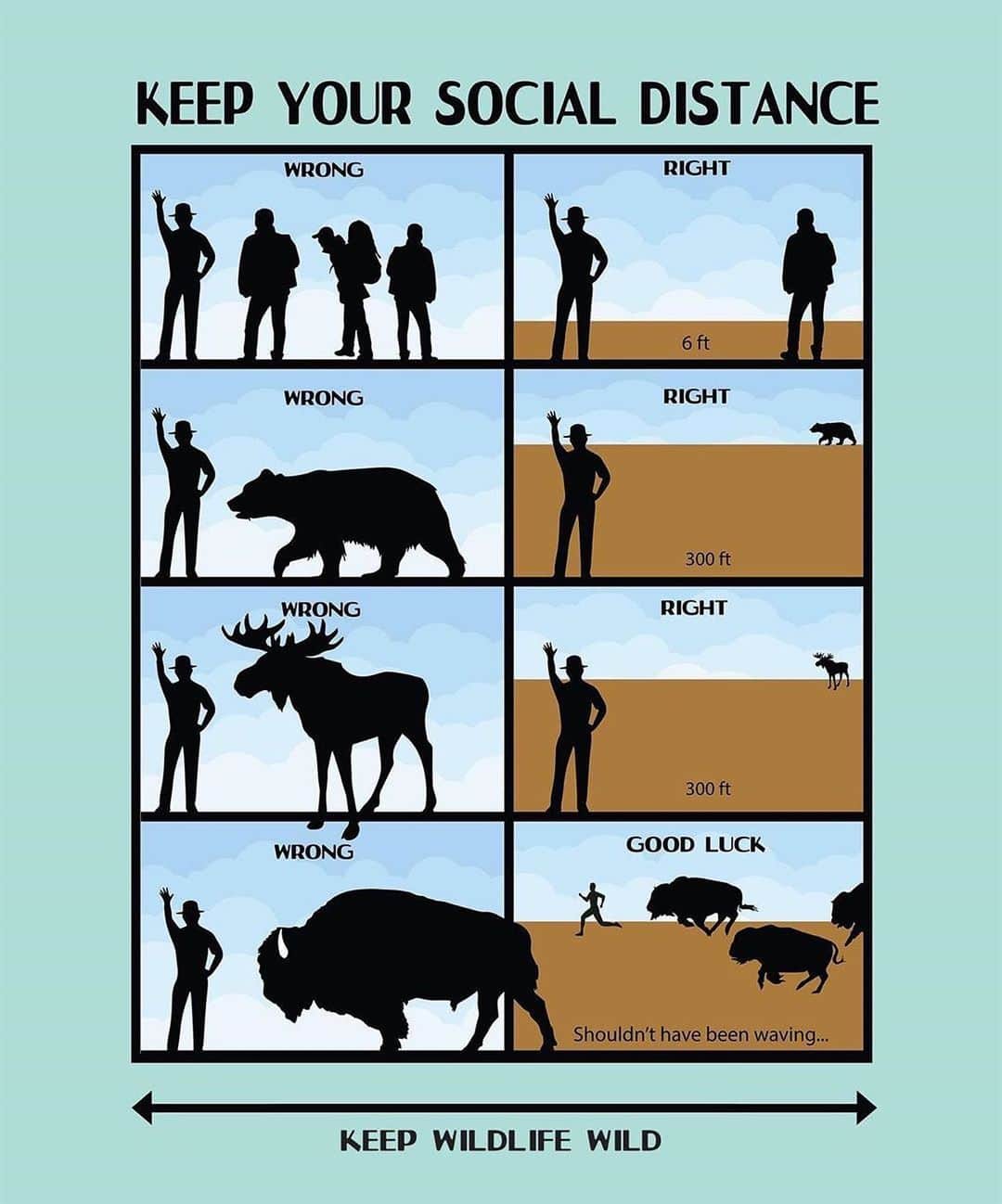 のインスタグラム：「Safest social distance from people, wildlife... and Mondays 🥴 📸: @nationalparkservice」