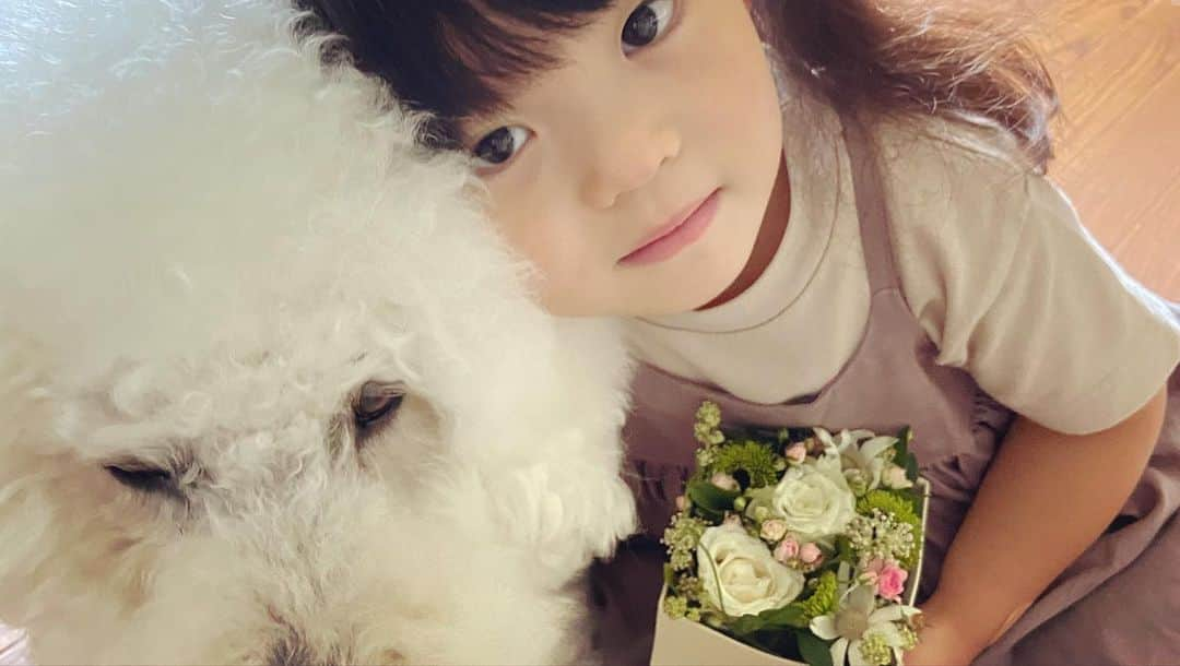 たまねぎさんのインスタグラム写真 - (たまねぎInstagram)「. . まめちゃん、Bloomee LIFEのお花を生けはじめて1年経ちました。 生け終わると必ずりっくんに見せます(*´꒳`*) 今回もいつものように見せた後に・・・ きゃー！可愛すぎるだろー！！ まめちゃんのはにかみ具合ったら💕💕 . . 🌸素敵なコラボ企画が実現しました🌸 期限まであと5日！ . お花の定期便 @bloomeelife さんと @tamanegi.qoo.riku のコラボプレゼント企画💐 たまねぎプロデュース【フラワーボックス】をプレゼント🎁 . 「初回のお花代＆送料を0円でお届け」＆「抽選で5名様にお花の定期便Bloomee LIFE×たまねぎコラボフラワーボックス」をプレゼントいたします🌸 一番最後の写真のフラワーボックスです💕 . ■応募方法 BloomeeLIFEご登録時に「クーポンコード：tamabox」を入力するだけ👌 「初回のお花代＆送料を0円でお届け」＆「抽選で5名様にお花の定期便Bloomee LIFE×たまねぎコラボフラワーボックス」をプレゼントいたします🌸 . ■クーポンコード：tamabox ■有効期限：2020年7月31日 . ■実施期間： 2020/07/17(金)〜2020/07/31(金) . ■当選発表について 当選者の発表は「8/3(金)20:00」にお送りする当選者メールをもってかえさせていただきます。 . ■当選者さま ・当選者さまは景品が届き次第、 #たまねぎフラワーボックス をつけてインスタグラムにご投稿ください🌼 . . @bloomeelife  #standardpoodle #dog #poodlesofinstagram #スタンダードプードル #大型犬と子供 #poodle #dogstagram #いぬのいる生活 #わんこ部 #子どもと犬 #犬と暮らす #いぬなしでは生きられません #pr #bloomeelife #花育 #4歳 #花を生ける #だいすき」7月26日 2時50分 - tamanegi.qoo.riku