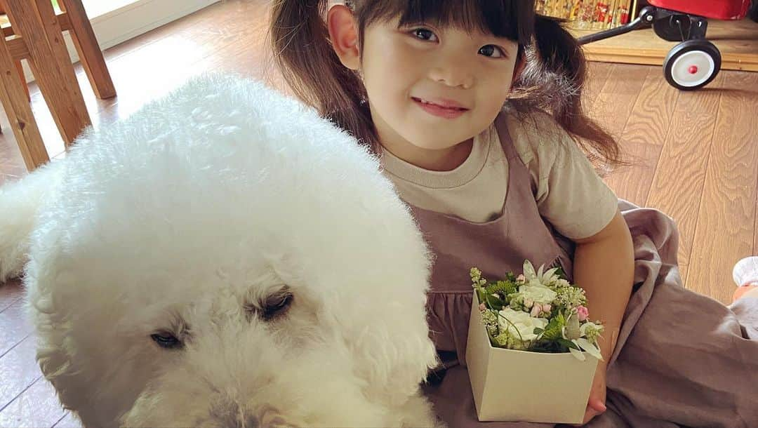 たまねぎさんのインスタグラム写真 - (たまねぎInstagram)「. . まめちゃん、Bloomee LIFEのお花を生けはじめて1年経ちました。 生け終わると必ずりっくんに見せます(*´꒳`*) 今回もいつものように見せた後に・・・ きゃー！可愛すぎるだろー！！ まめちゃんのはにかみ具合ったら💕💕 . . 🌸素敵なコラボ企画が実現しました🌸 期限まであと5日！ . お花の定期便 @bloomeelife さんと @tamanegi.qoo.riku のコラボプレゼント企画💐 たまねぎプロデュース【フラワーボックス】をプレゼント🎁 . 「初回のお花代＆送料を0円でお届け」＆「抽選で5名様にお花の定期便Bloomee LIFE×たまねぎコラボフラワーボックス」をプレゼントいたします🌸 一番最後の写真のフラワーボックスです💕 . ■応募方法 BloomeeLIFEご登録時に「クーポンコード：tamabox」を入力するだけ👌 「初回のお花代＆送料を0円でお届け」＆「抽選で5名様にお花の定期便Bloomee LIFE×たまねぎコラボフラワーボックス」をプレゼントいたします🌸 . ■クーポンコード：tamabox ■有効期限：2020年7月31日 . ■実施期間： 2020/07/17(金)〜2020/07/31(金) . ■当選発表について 当選者の発表は「8/3(金)20:00」にお送りする当選者メールをもってかえさせていただきます。 . ■当選者さま ・当選者さまは景品が届き次第、 #たまねぎフラワーボックス をつけてインスタグラムにご投稿ください🌼 . . @bloomeelife  #standardpoodle #dog #poodlesofinstagram #スタンダードプードル #大型犬と子供 #poodle #dogstagram #いぬのいる生活 #わんこ部 #子どもと犬 #犬と暮らす #いぬなしでは生きられません #pr #bloomeelife #花育 #4歳 #花を生ける #だいすき」7月26日 2時50分 - tamanegi.qoo.riku