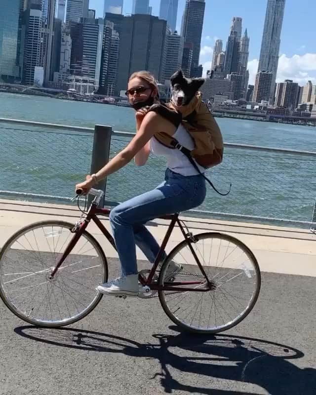 ブルーライフのインスタグラム：「Saturday morning coffee run 💕🐶 tag someone who would ride with their pup! 😍 #shopplanetblue」