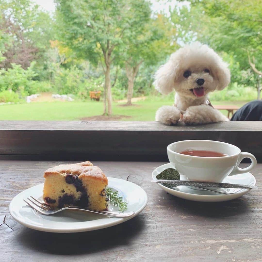 mizuのインスタグラム：「ひょっこり☺︎ あー癒された♡」