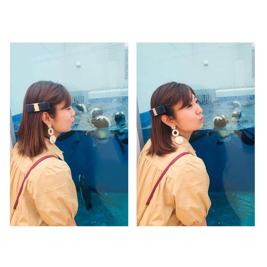 白戸ゆめのさんのインスタグラム写真 - (白戸ゆめのInstagram)「🐧🧊 . 連投したい。そんな気分🙃  念願の四国水族館🐠✨ オープン前からずっと楽しみにしてて ようやく行けました〜😆 . いろんな生き物がいて ずっとワクワク、そわそわ。笑 . ペンちゃんとあと一歩でちゅーというところで フラれてしまいました🤣🤣 . オキアミアイスキャンディー🍭 次こそ挑戦したい💕 . ※撮影時だけマスク外してます😷 最近バタバタしていて コメントにお返事できずすみません🙇‍♀️ . #四国水族館 #宇多津町 #今は夜もやってるよ！ #大人の水族館 だって〜😽💋」7月26日 12時55分 - yumeno.s_