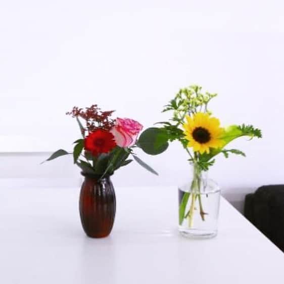 asu_chinさんのインスタグラム写真 - (asu_chinInstagram)「+ +  ポストに届くお花便。 @bloomeelife さんの 日常が潤うお花の定期便です。 毎回何が届くかはお楽しみ♡  + +  初回のお花お届けが無料になるクーポンがでています。  ▼▼クーポンコード▼▼  ■クーポンコード：asu ■有効期限：2020年7月31日  + + ・キャンペーン期間：2020/7/17(金)〜2020/7/31(金) ・Bloomee LIFEで販売している花瓶ラインナップに、""2種類の花瓶が新登場""したことを記念して、花瓶プレゼントキャンペーンを実施します✨ ・「公式ライフスタイルモデル」の投稿内にある""クーポン""を使って、ご登録いただいた方の中から抽選で、4名様に【新登場した花瓶】をプレゼント致します🎁 画像最後に掲載の花瓶です。  ■景品＆当選者連絡について ・プレゼントされる花瓶は、下記にお送りする画像2種類のうちいずれかをお届け💐 　→どちらが当たるかはランダムとなりますので、届くまでのお楽しみとなります✨ ・当選者の方には、ご登録の際に入力いただいたメールアドレスに【8/3(月)】に当選連絡メールをお送りいたします。  ストーリーのURLからも飛べます✈︎✈︎✈︎ + +  #bloomeelife #bloomeelife公式アンバサダー」7月26日 13時03分 - asu_chin