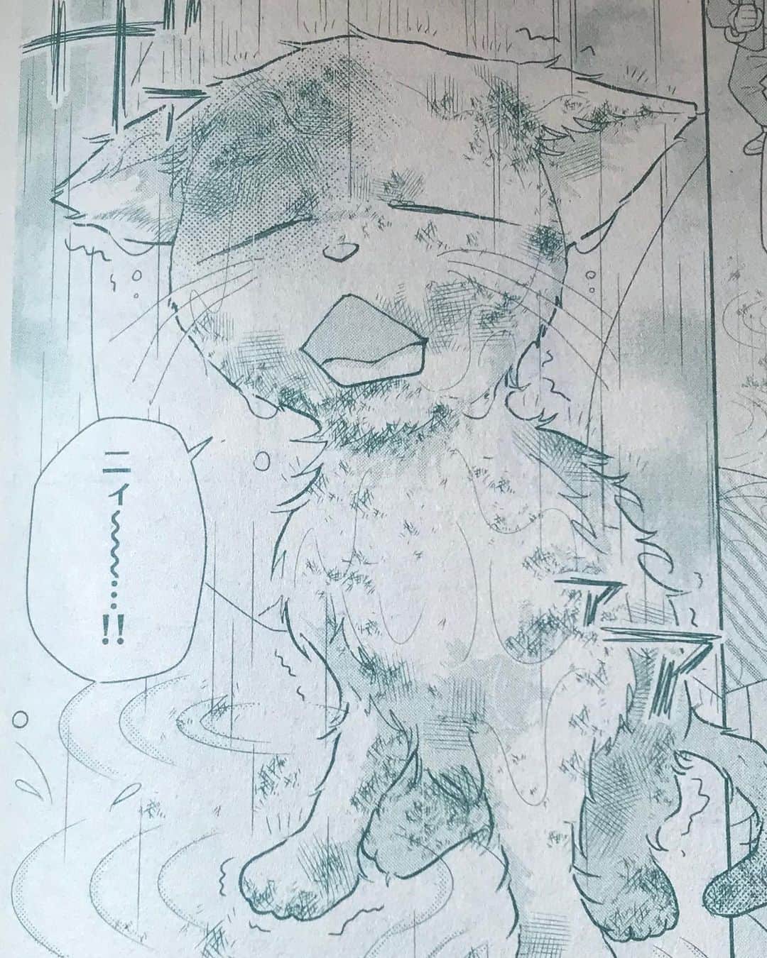 ときわ藍さんのインスタグラム写真 - (ときわ藍Instagram)「発売中のちゃおDX9月号に読み切り『キミがくれたプレゼント』を載せていただいています！捨て猫のストーリーです。ぜひ読んでいただけると嬉しいです！！🐈📦よろしくお願いします！  #ちゃおDX」7月26日 13時19分 - tokiwaran
