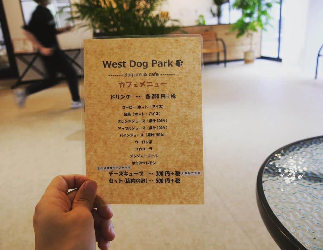 下平夏奈さんのインスタグラム写真 - (下平夏奈Instagram)「週末は、 愛犬と楽しめる室内ドッグラン⭐️ @westdogpark へ ピノと一緒にいってきました♩  店長ゆんたくんとのツーショット写真と 最後の写真がお気に入り！  東京 福生駅から 徒歩5分のところにあるお店で  今年の3月16日に Openしたばかりのオシャレなドッグラン✨  公園にいるような 素敵なくつろぎ空間。。。  このような場所をずっと探していました！！！  【West Dog Parkの嬉しいポイント✨】  ◯備品の充実 トイレシートやウェットティッシュ、 ビニール袋、ローラー、ゴミ箱、水飲み場　など  ◯コロナ対策 ・事前予約貸し切り(電話) ・消毒の徹底　など 安心して使用することができます。  ◯利用料(60分の場合) ・愛犬１頭 400円+tax ・お１人様 600円+tax ・登録料 初回のみ 300円 こちらの価格に驚きました！ めちゃめちゃお得に楽しめます☆  天候を気にせず、 こんなに広いところで ワンちゃんと一緒に遊べるのは 本当に嬉しい♩  写真も沢山撮ったので 少しずつアップしていきますね〜！  自分の家では なかなか走り回れないので(笑) すごく良い気分転換になりました☆ ありがとうございます！  West Dog Park 限定の チーズキューブも 凄く美味しかったので オススメです⭐️  今度はお友達と何人かで 遊びにいきたいな〜♩  営業時間や予約状況等は @westdogpark の インスタグラムや Webサイトでチェックしてみてね！ : : #westdogpark #小型犬 #室内ドッグラン #福生 #東京 #ドッグラン #ドッグカフェ #室内あそび #犬 #犬のいる暮らし #ミックス犬 #ペキチワ #犬好き #ドッグイベント #ドッグウェア #いぬすたぐらむ #わんすたぐらむ  #いぬのきもち #いぬのきもち部  #コラボベース #dog #pr #animal」7月26日 13時28分 - kana0412.sss