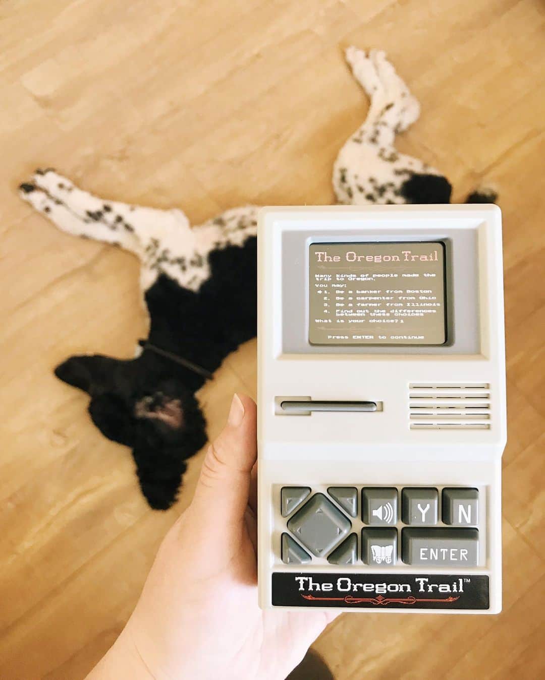 Robin May Flemingのインスタグラム：「Hands up if you, too, learned about dysentery at an awkwardly young age! #OregonTrailForever」