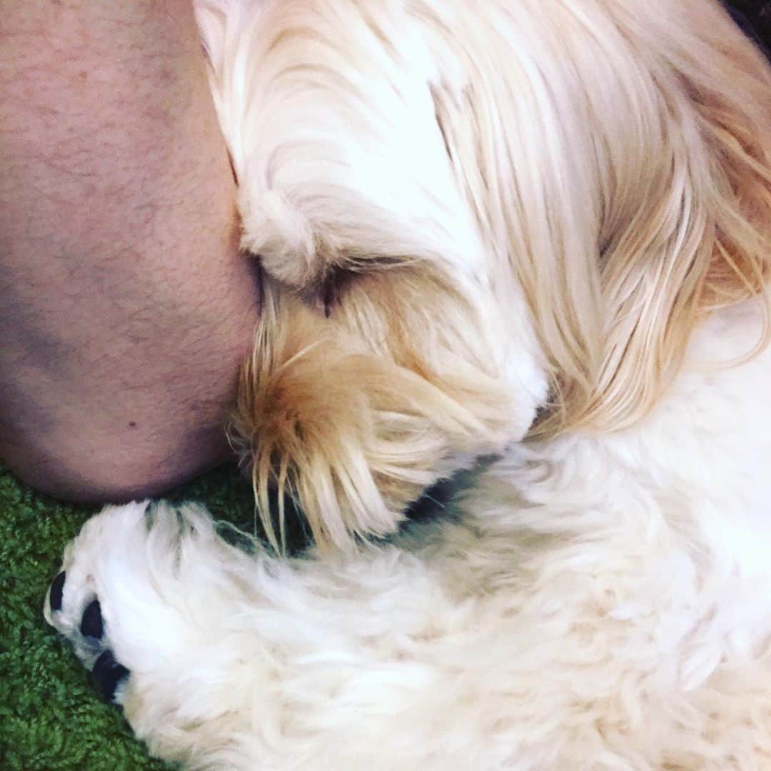北山陽一のインスタグラム：「休憩延長。#きたやまおもち」