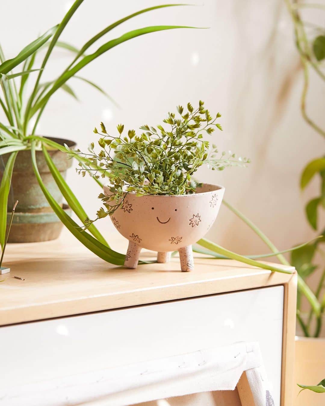 Urban Outfittersさんのインスタグラム写真 - (Urban OutfittersInstagram)「How to keep your plants happy: put them in a happy planter. #UOHome」7月26日 5時55分 - urbanoutfitters