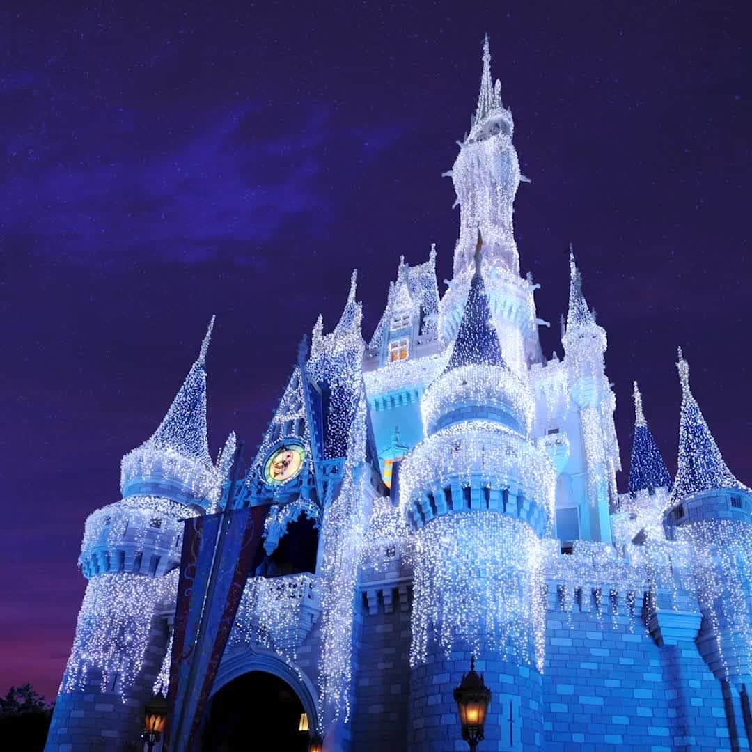 Walt Disney Worldのインスタグラム：「It’s the prettiest thing you’ll see during the holidays in July! ❄️ Head on over to the @DisneyParksBlog for more holiday-inspired midsummer merriment. Link in bio. #ChristmasinJuly #DisneyMagicMoments✨」